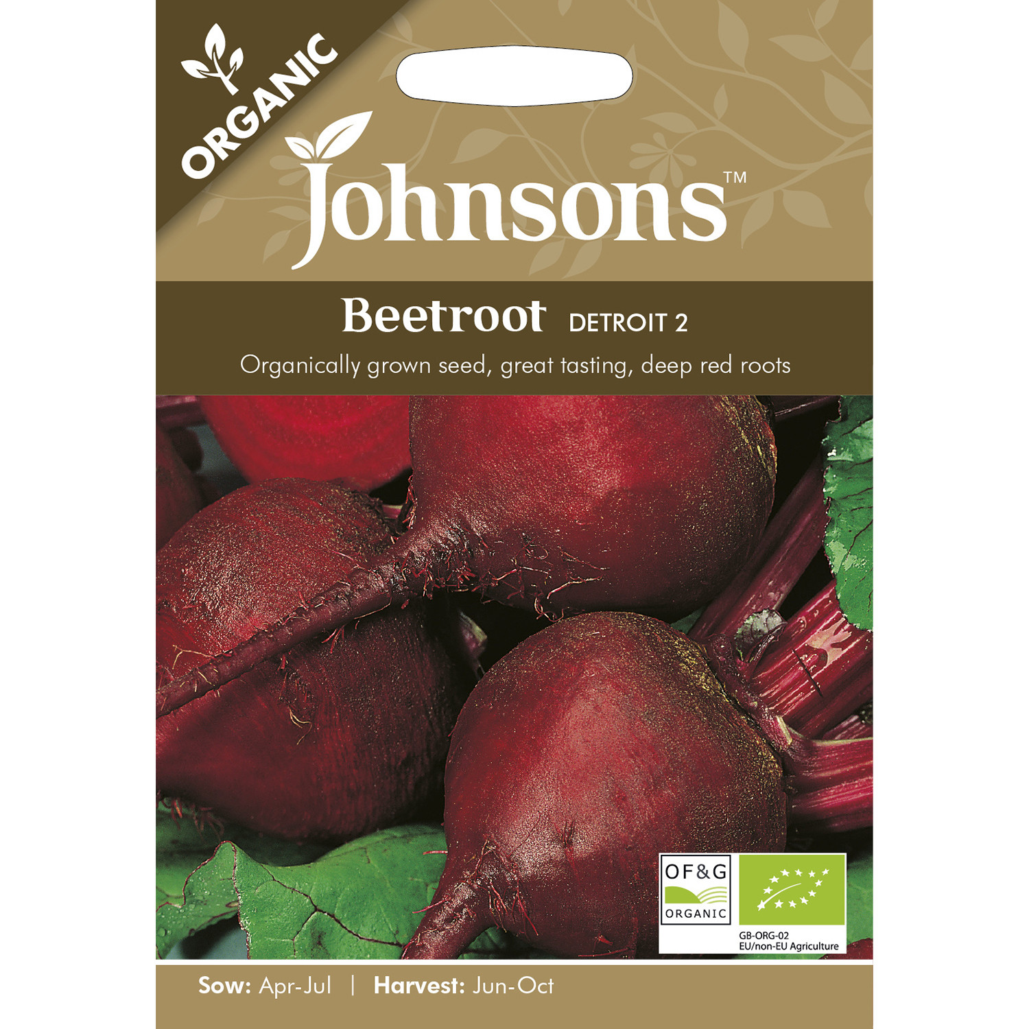 Johnsons Organic Detroit Beetroot Seeds Image 2