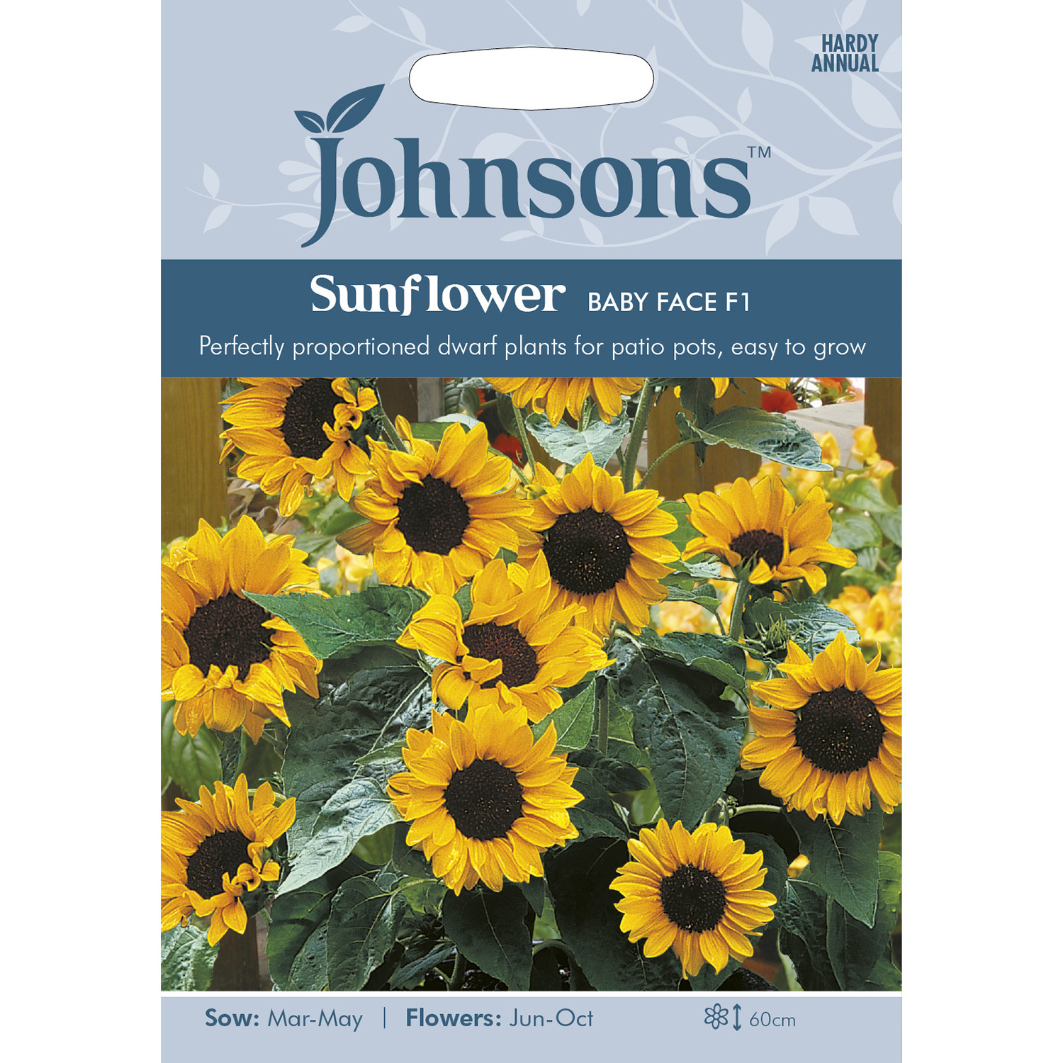Pack of Baby Face F1 Sunflower Seeds Image 1