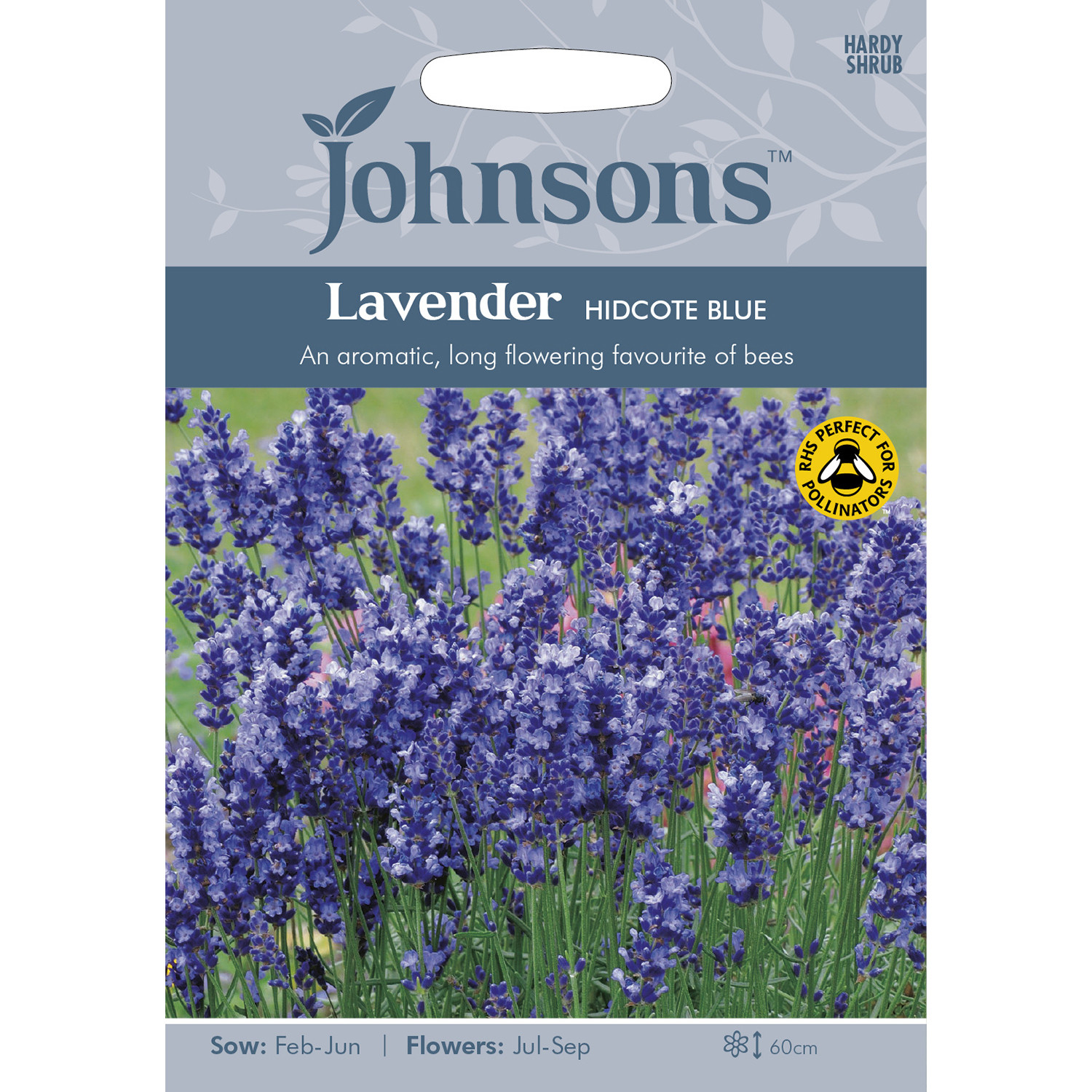 Johnsons Lavender Hidcote Blue Flower Seeds Image 2