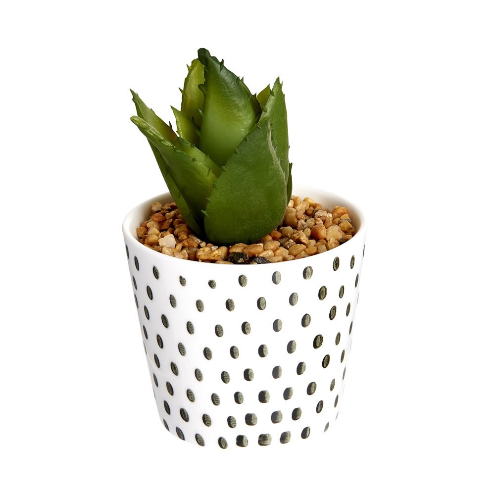 Single Wilko Cactus in Ceramic Pot in Assorted styles Image 2