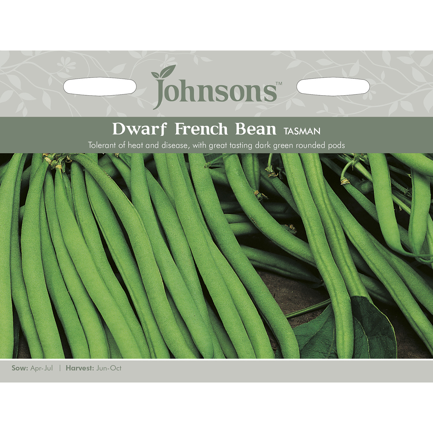 Johnsons Tasman Dwarf French Bean Seeds Image 2
