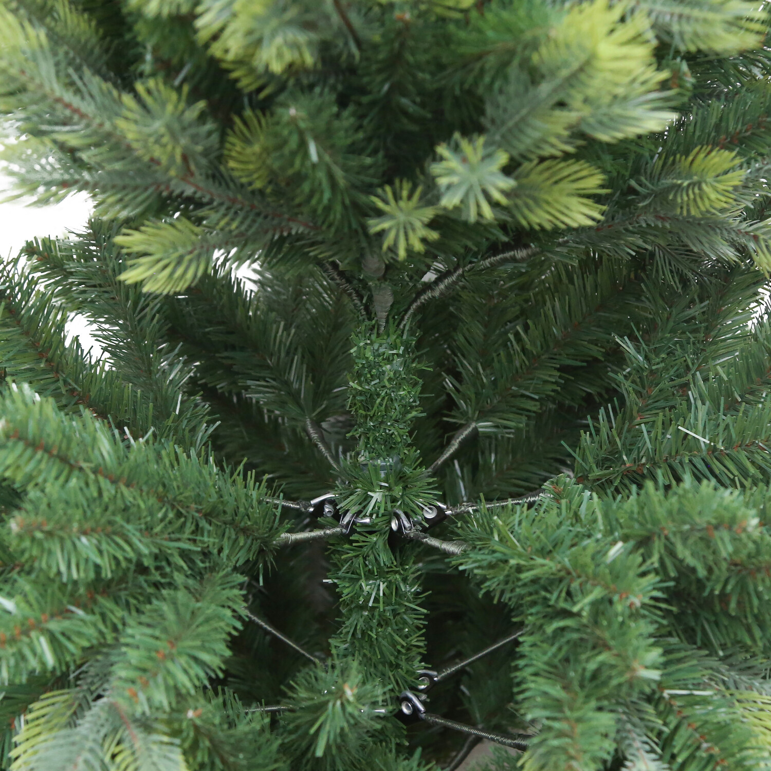 Hampton Fir Tree Green Image 3