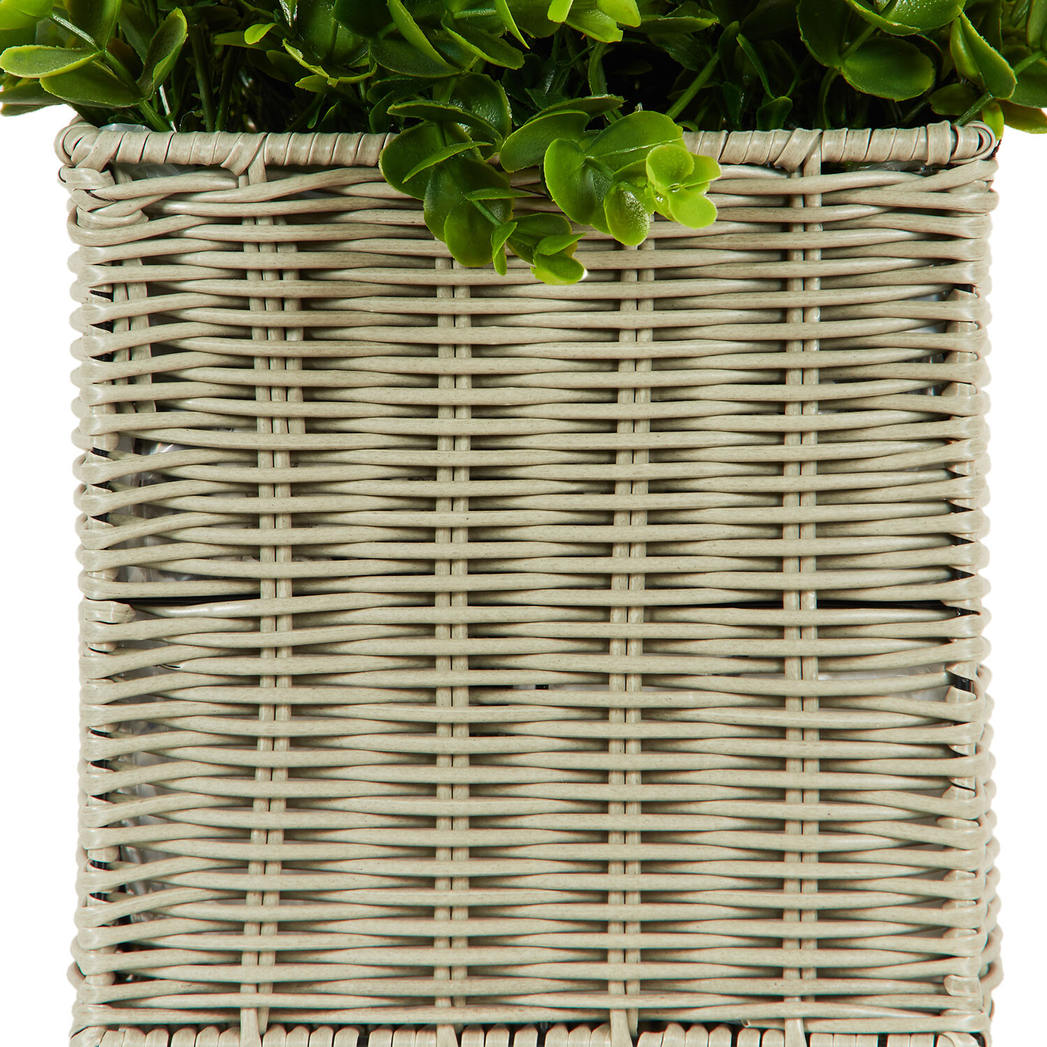 Petunia and Lavender in Rattan Pot - Multicolour Image 4
