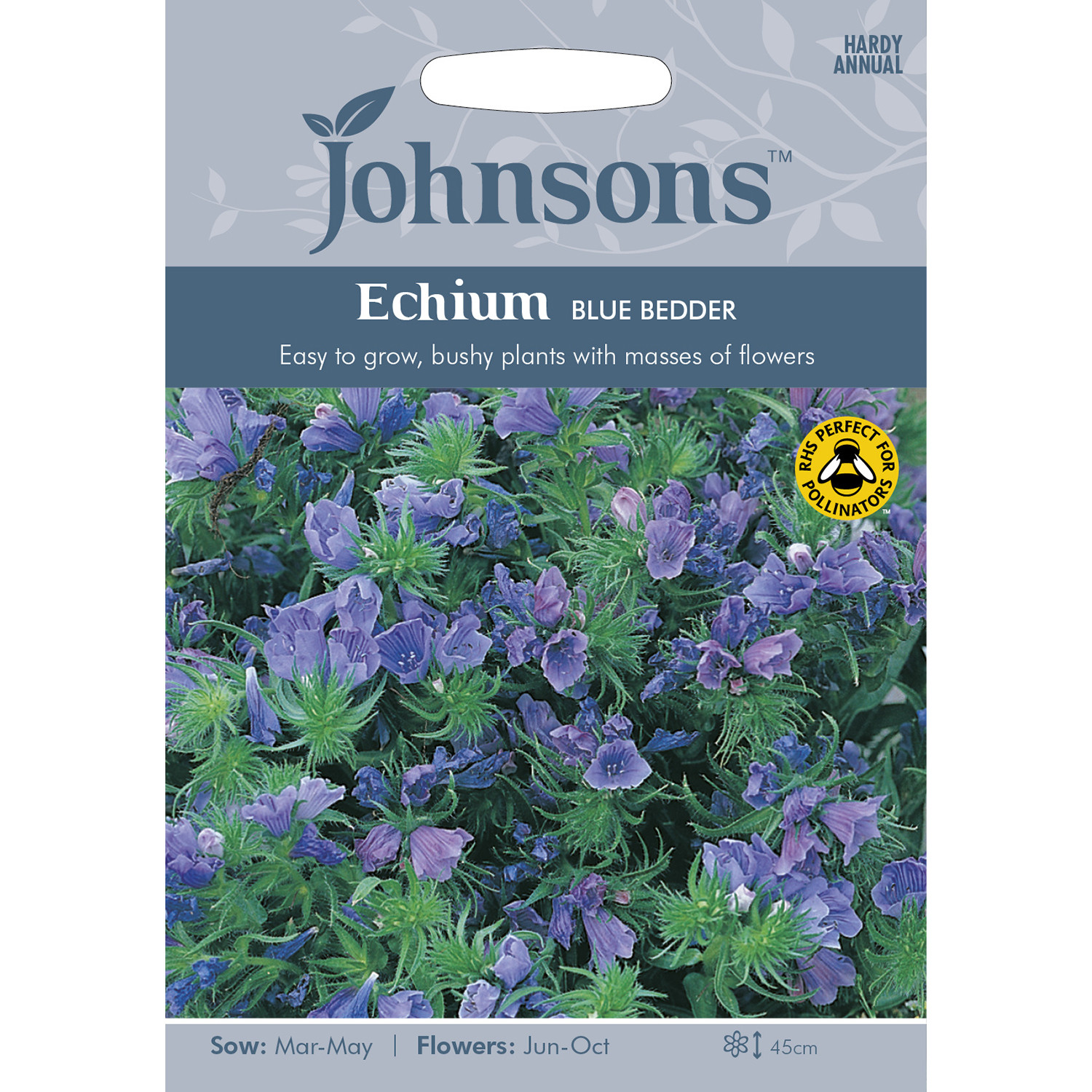 Johnsons Echium Blue Bedder Flower Seeds Image 2