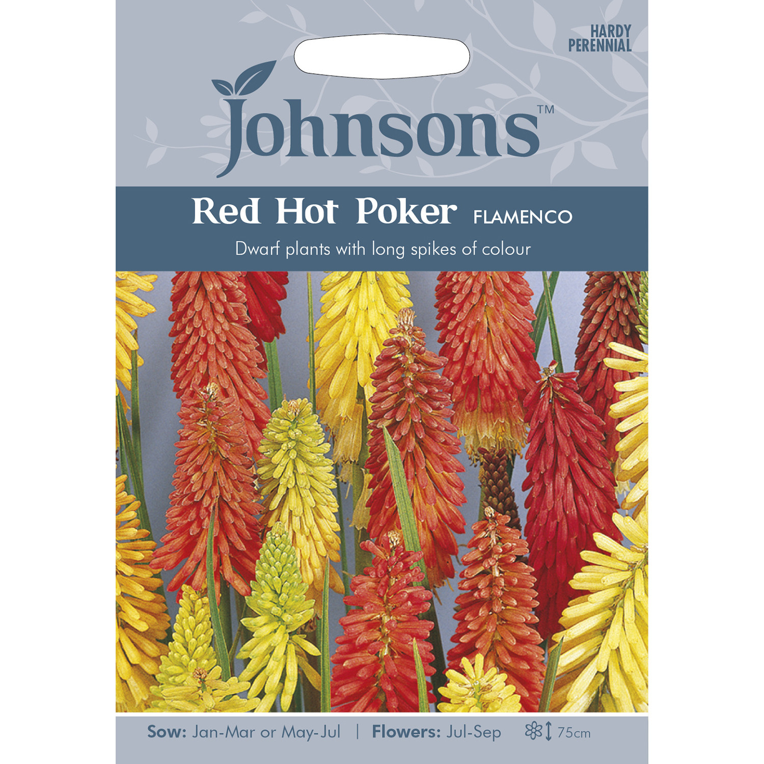 Johnsons Red Hot Poker Flamenco Flower Seeds Image 2