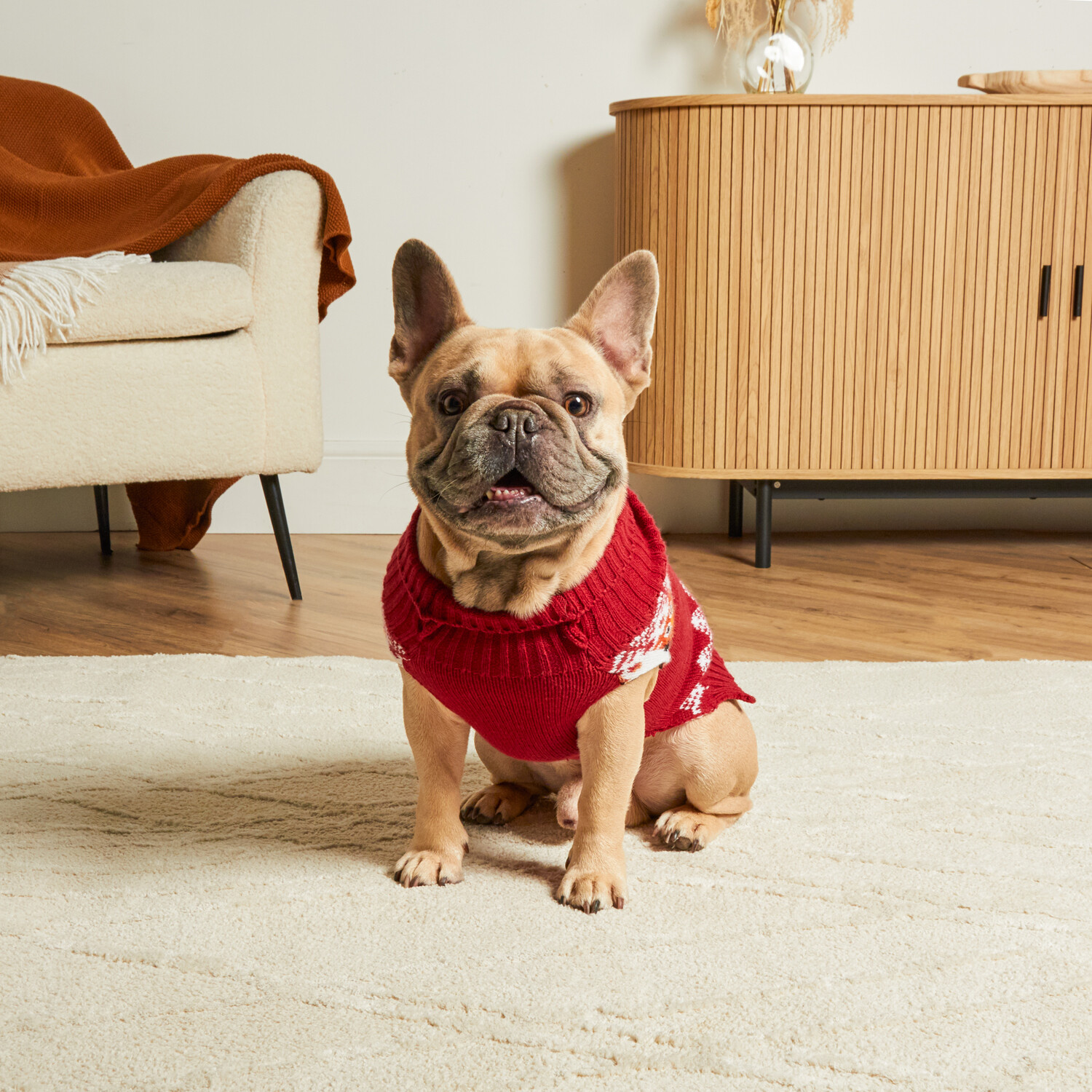 Woodland Dog Jumper Red 31cm Image 9