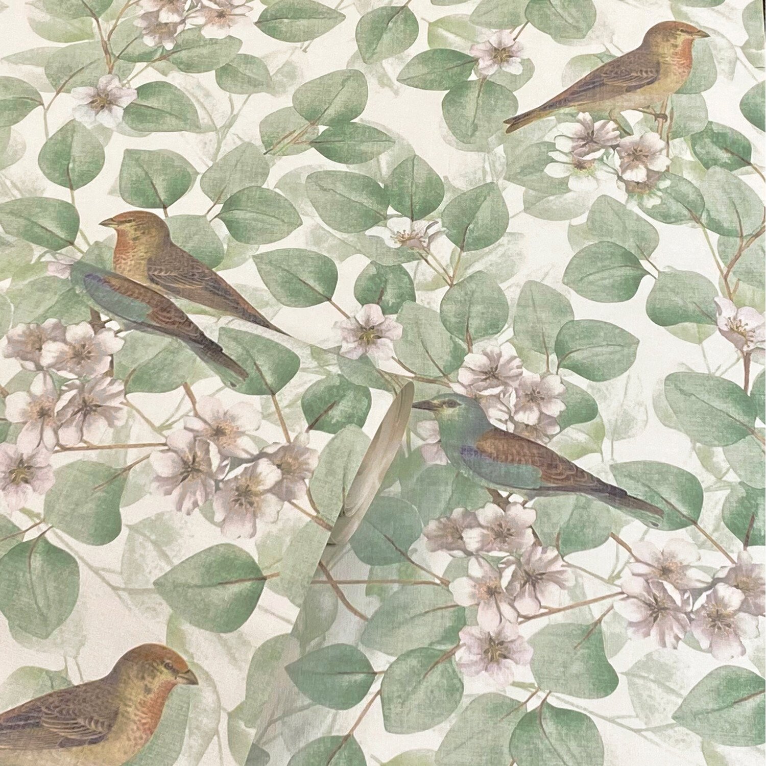 Birds and Blossom Wallpaper - Green Image 3