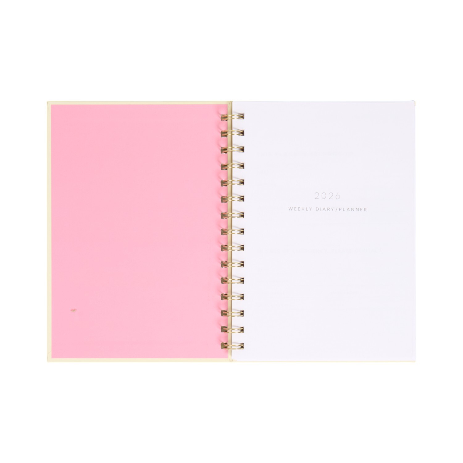 2026 Bow Diary Image 2