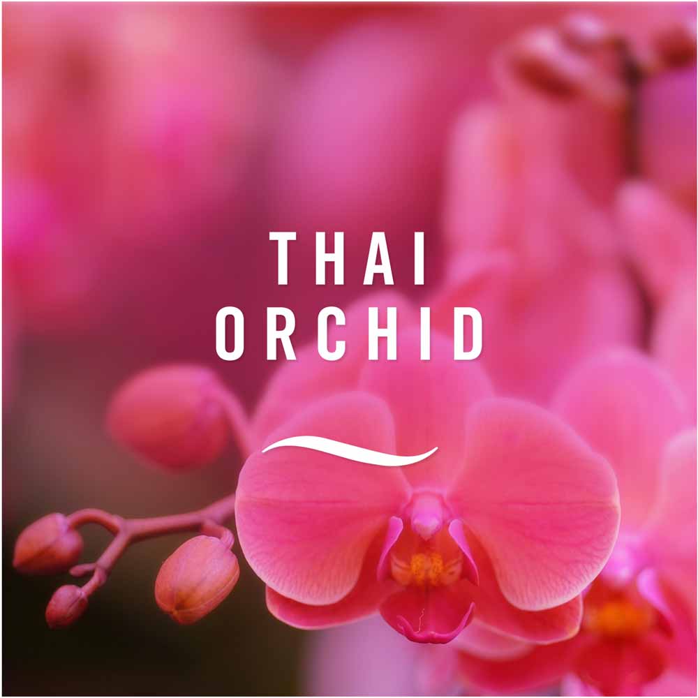 Febreze 3Vol Refill Thai Orchid Image 2
