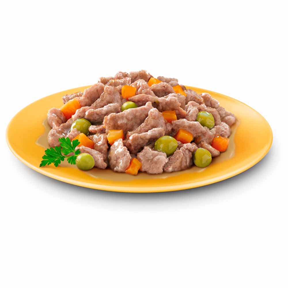 Cesar Country Stew Adult Wet Dog Food Trays Mixed in Gravy 4 x 150g Image 4