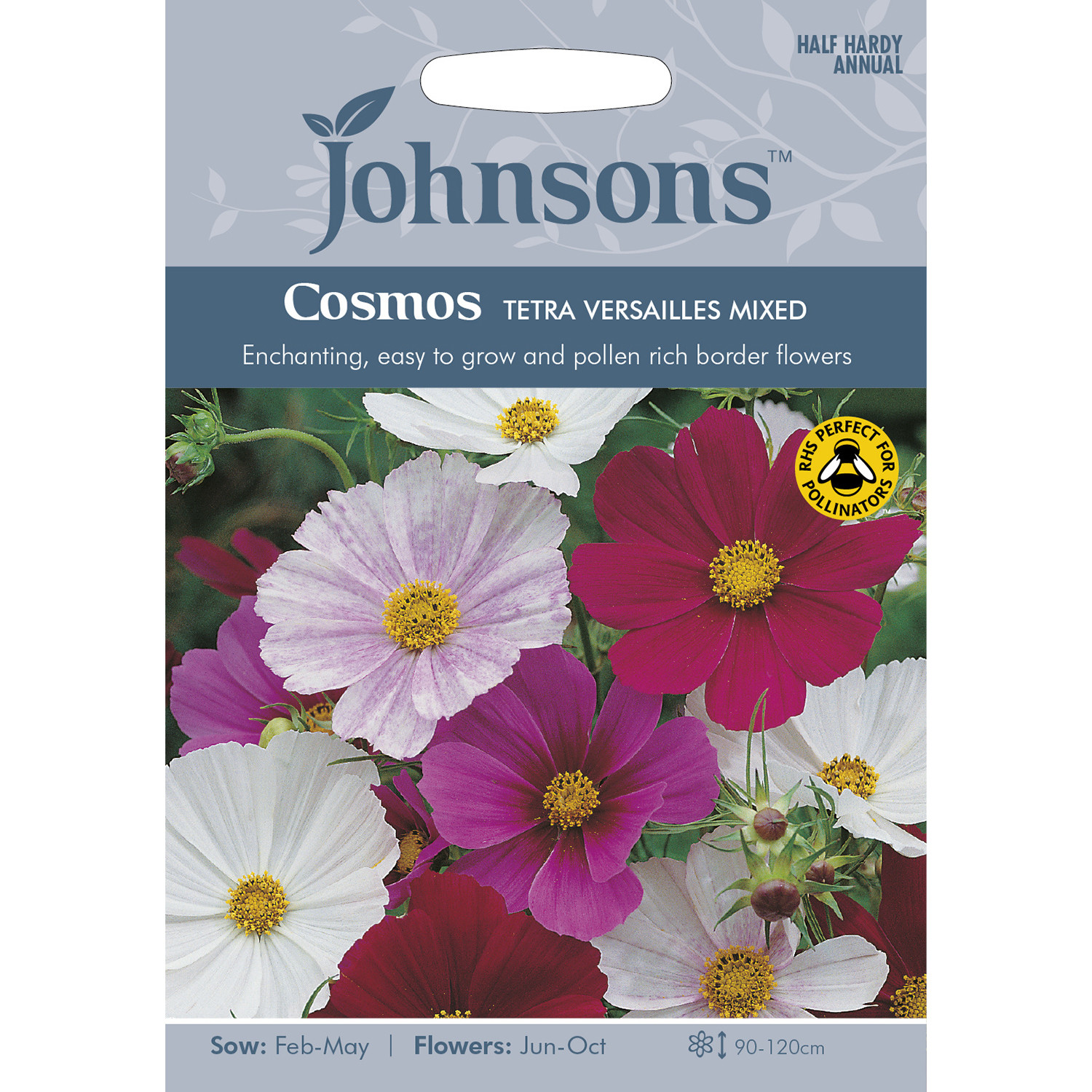 Johnsons Cosmos Tetra Versailles Mixed Flower Seeds Image 2