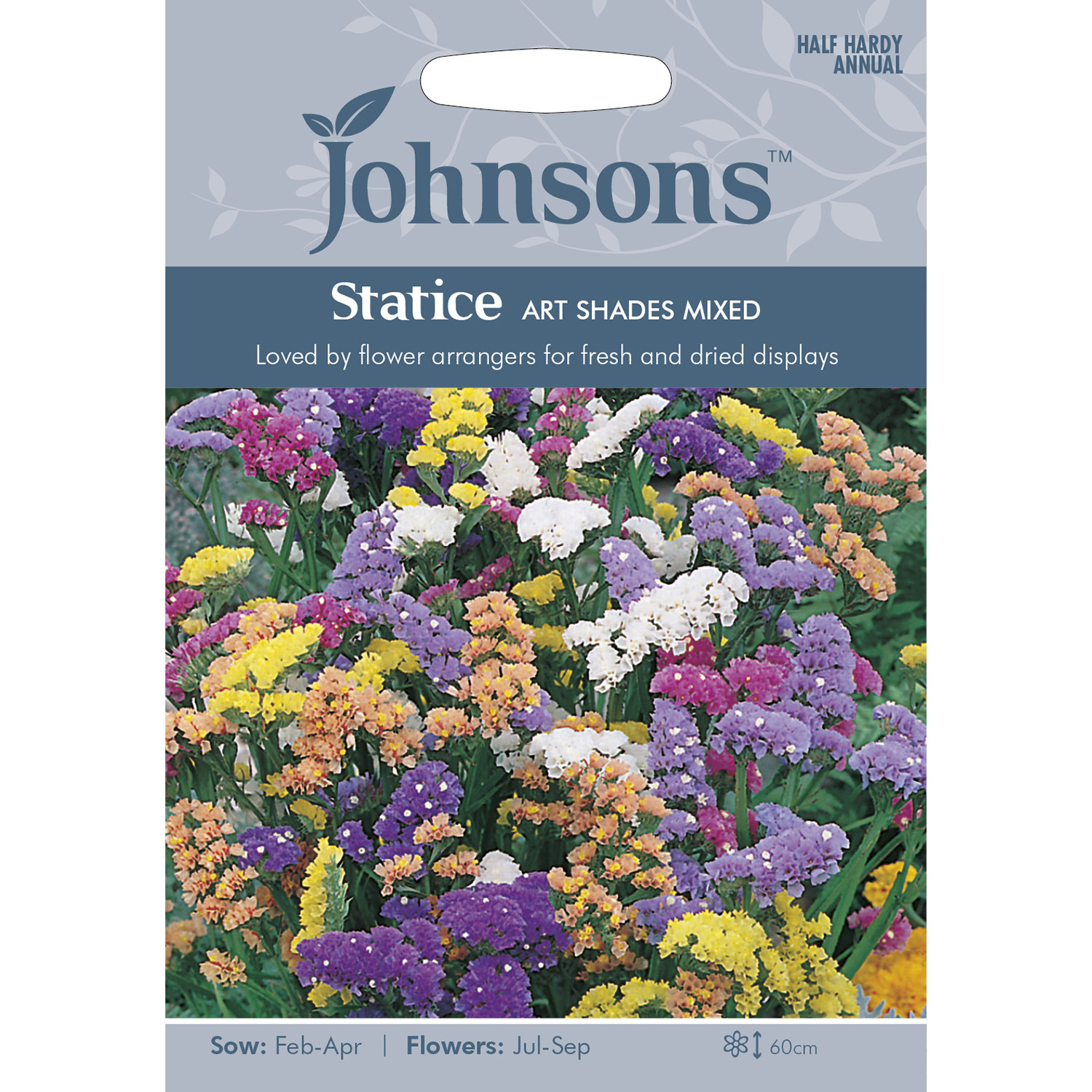 Johnsons Statice Art Shades Mixed Flower Seeds Image 2