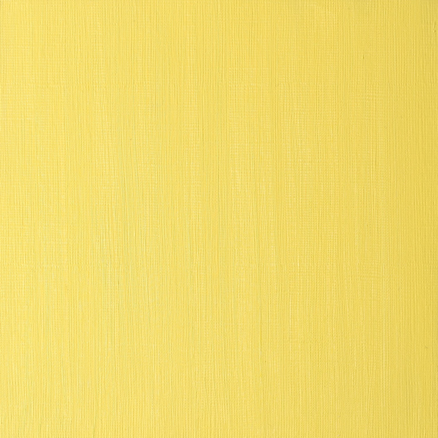 Winsor and Newton Winton Oil Colour Cadmium Yellow Pale Hue Oil Paint Image 3