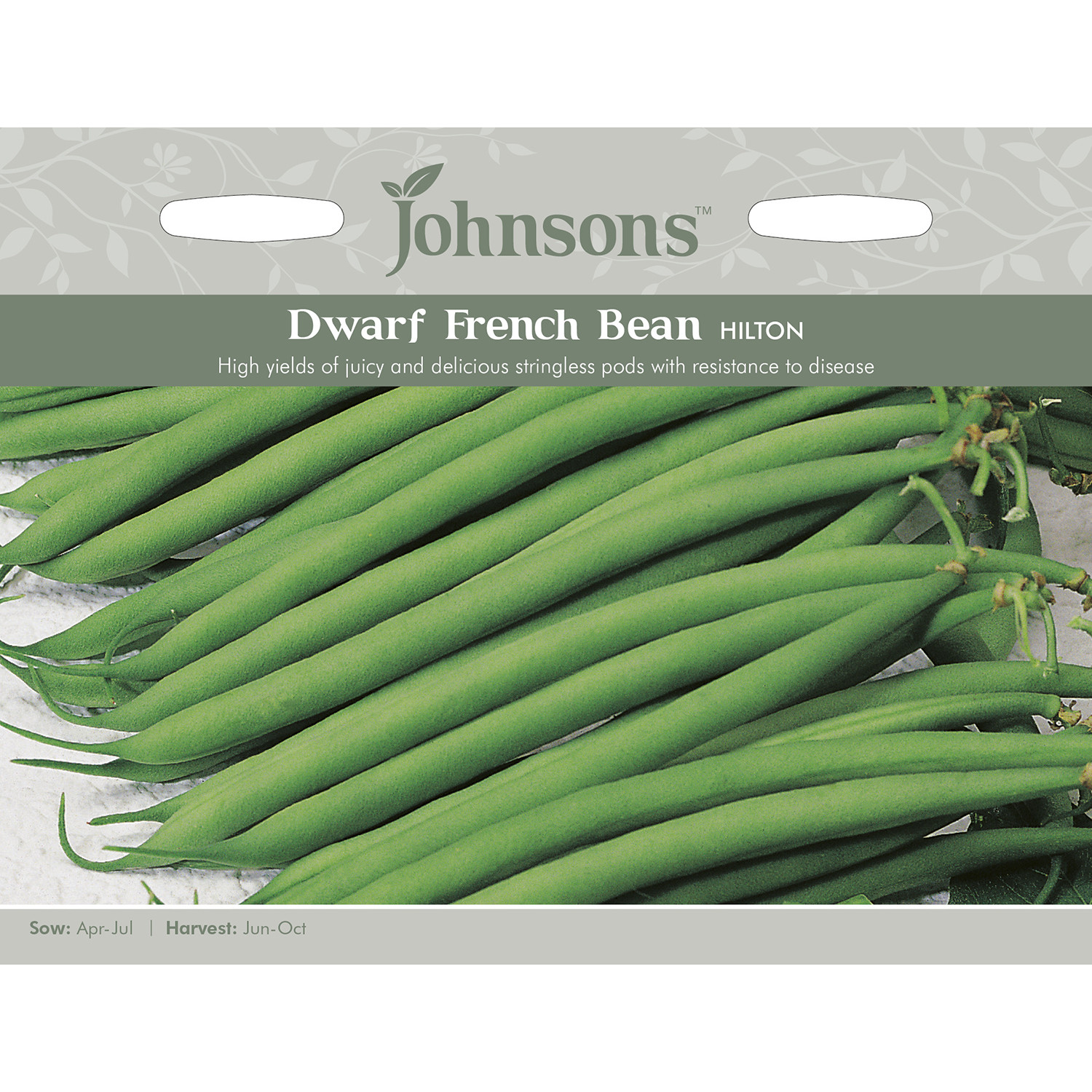 Johnsons Hilton Dwarf French Bean Seeds Image 2
