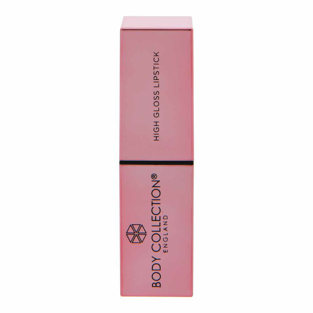 Body Collection High gloss Lipstick Pink Wilko