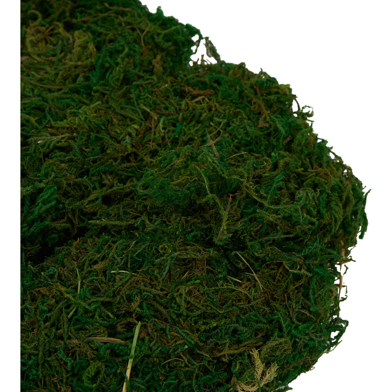 Easter Moss - Green Image 3