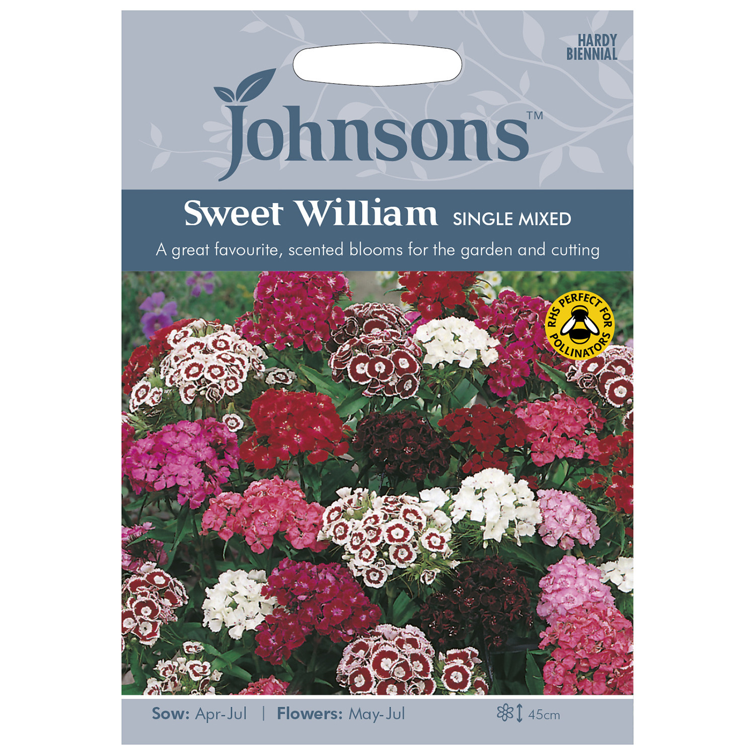 Pack of Single Mixed Sweet William Flower Seeds Image