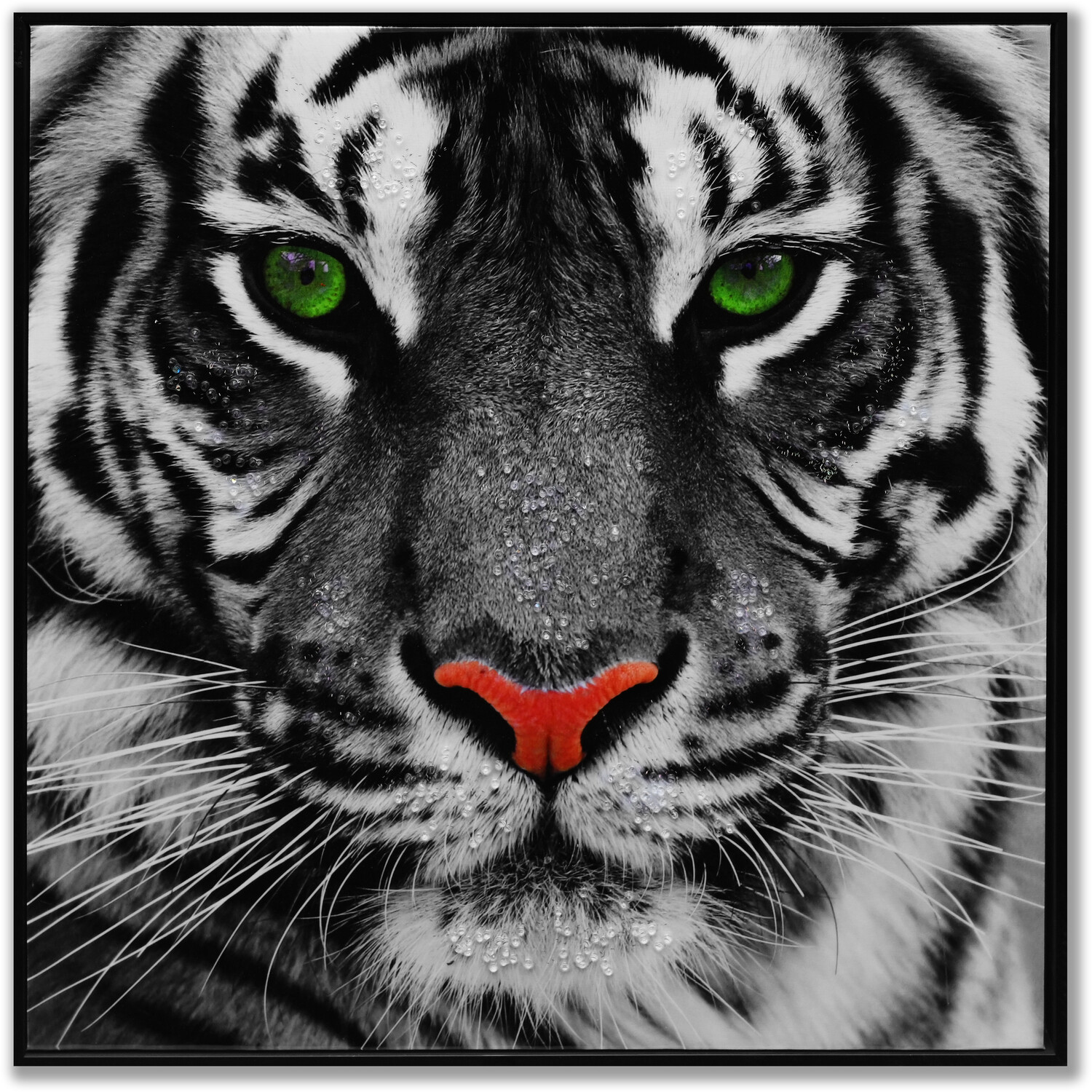 Striking Tiger Adorned Framed Print - Black Image 1