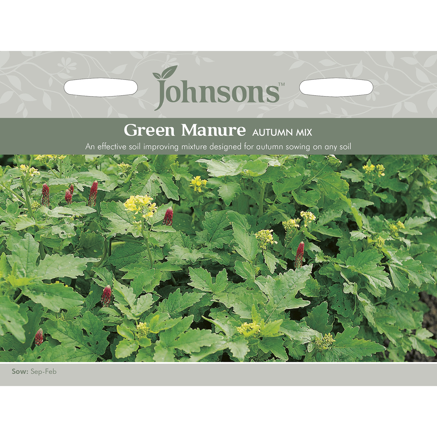 Pack of Green Manure Autumn Mix Image 1