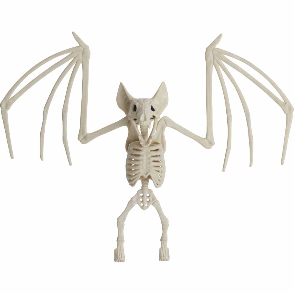 Wilko Skeleton Rat Bat Raven Scorpion Image 3