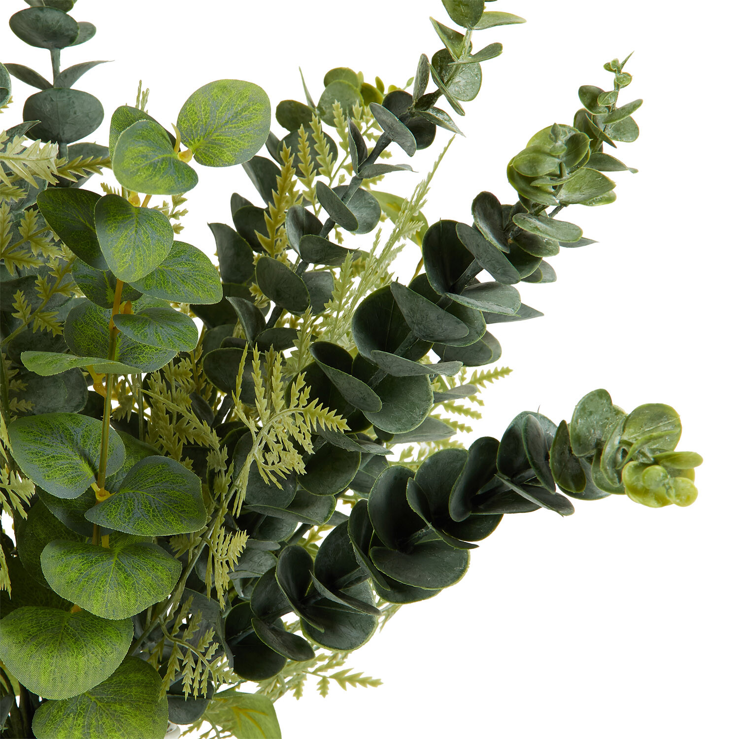 Eucalyptus in White Ceramic Pot - Green and White Image 3
