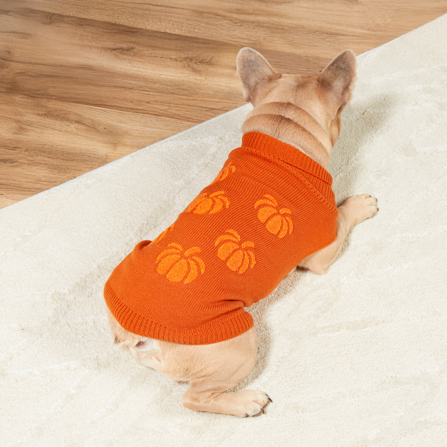 Pumpkin Jumper Orange 45cm Image 2