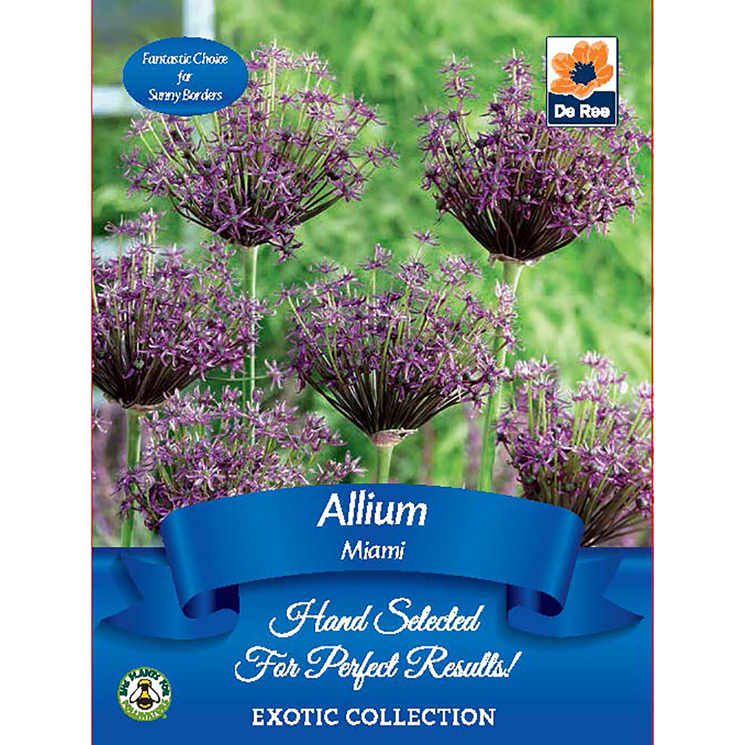 Exotic Seed Collection Image 18