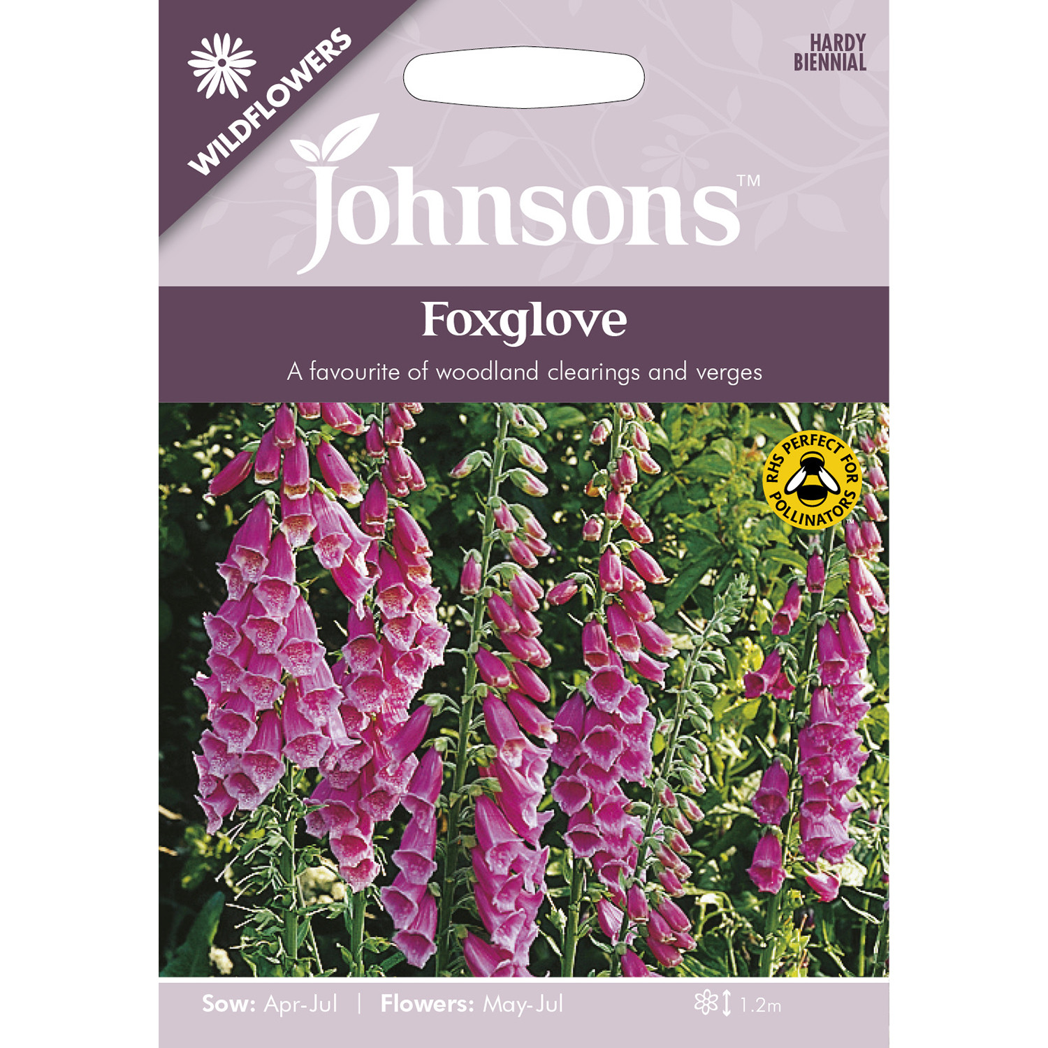 Johnsons Wildflowers Foxglove Flower Seeds Image 2