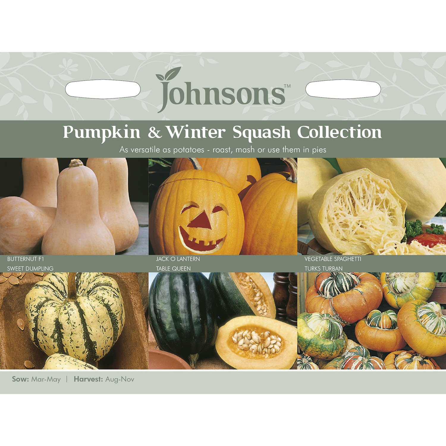Johnsons Pumpkin and Winter Squash Seeds Image 2