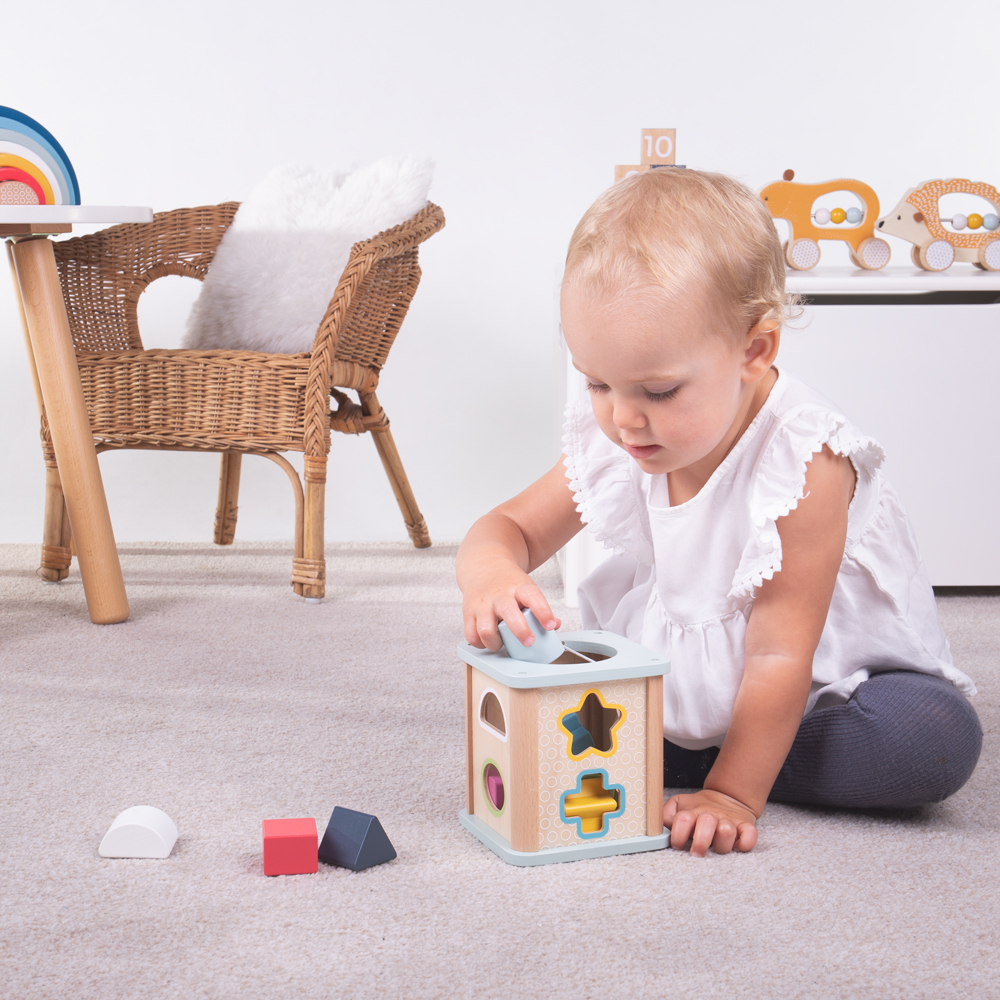 Bigjigs Toys Shape Sorter Image 4