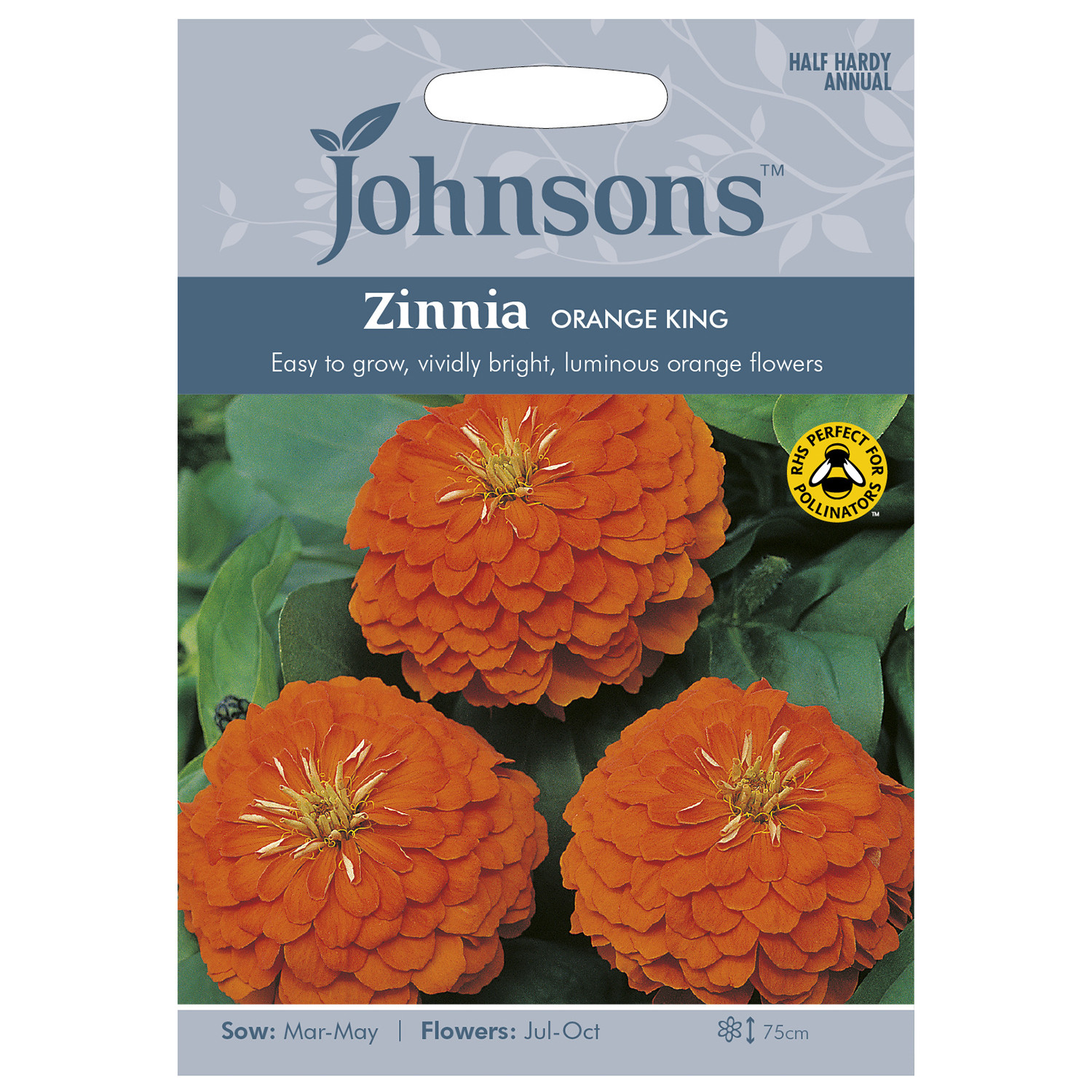 Johnsons Pack of Orange King Zinnia Flower Seeds Image