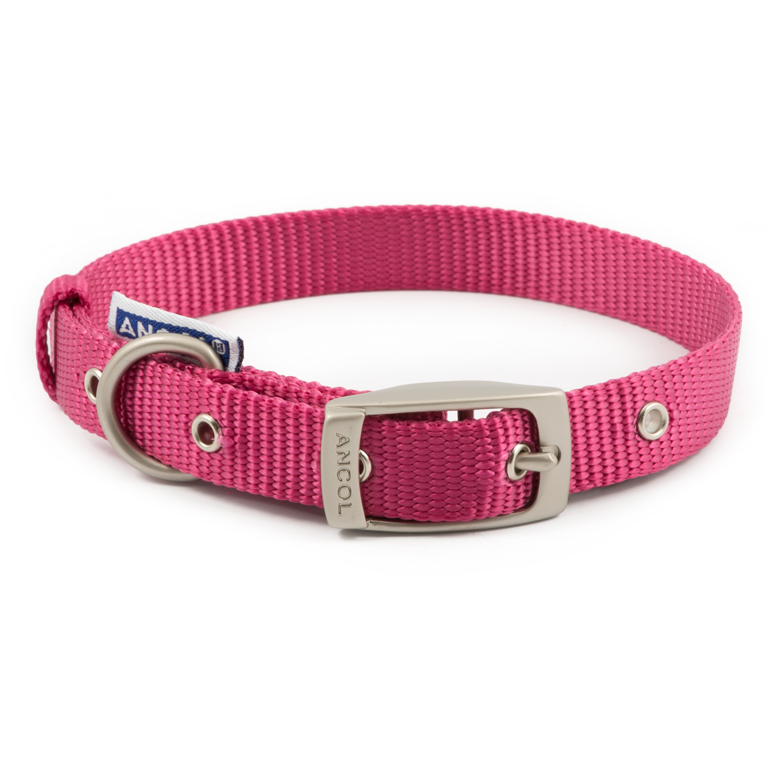 Ancol Dog Collar Nylon - Black / XS Image 3