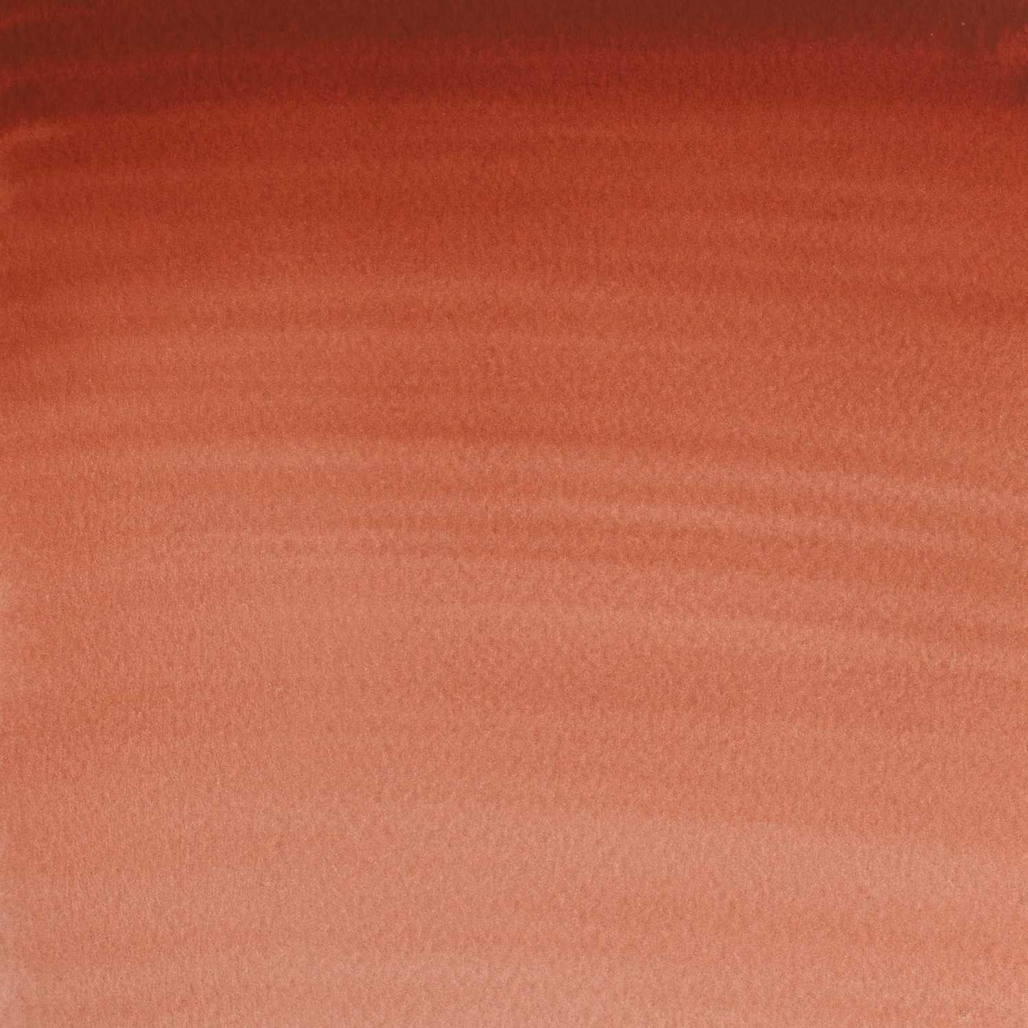 Winsor and Newton Cotman Light Red Watercolour Paint 21ml Image 2