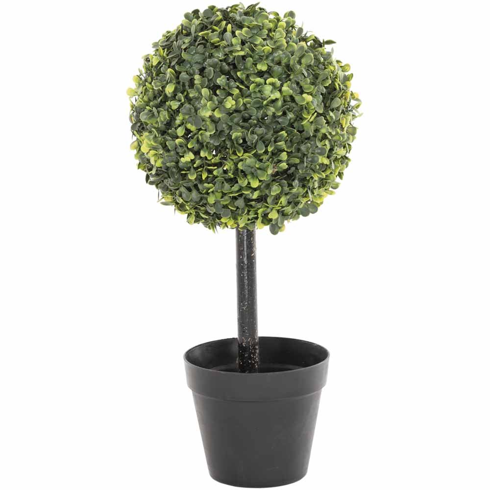 Boxwood Topiary Tree Ball Image 1