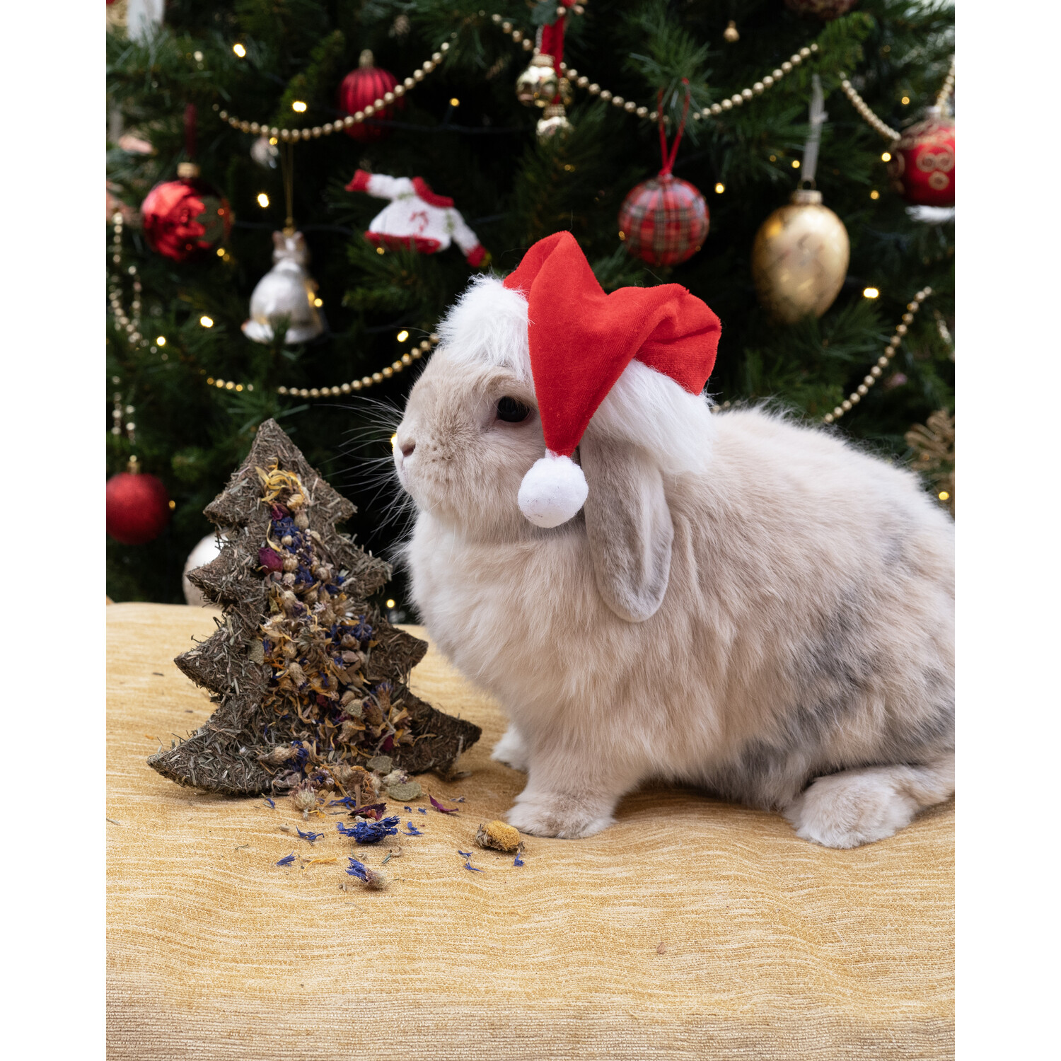 Christmas Flower N Forage Tree - Brown Image 3