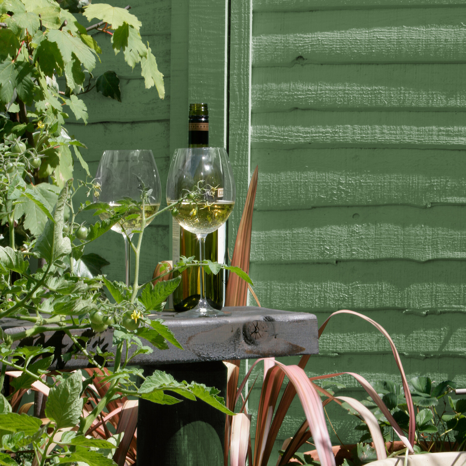 Sadolin Shed and Fence Protection Woodstain Green Forest 5l Image 5