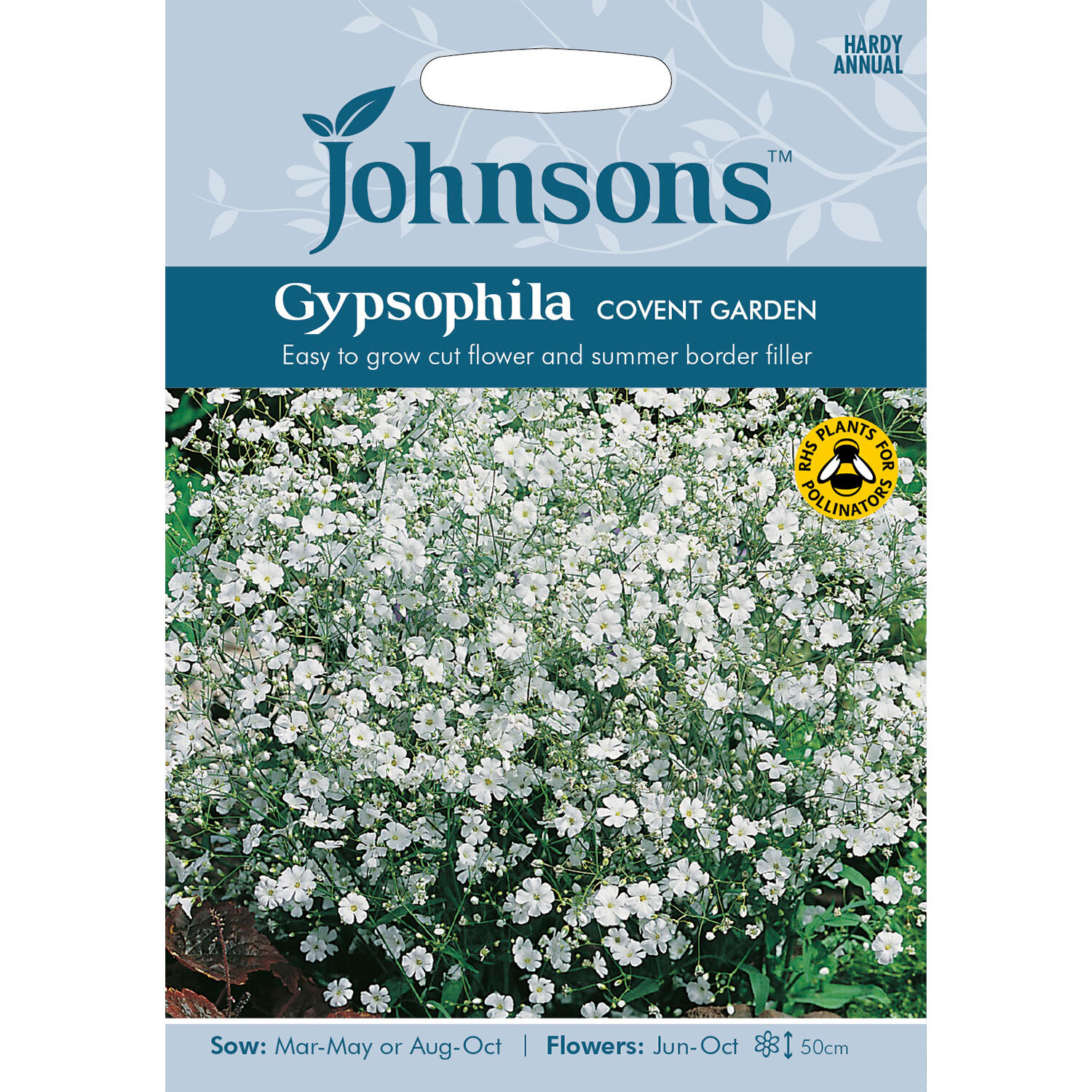 Covent Garden Gypsophila Seeds Image 1