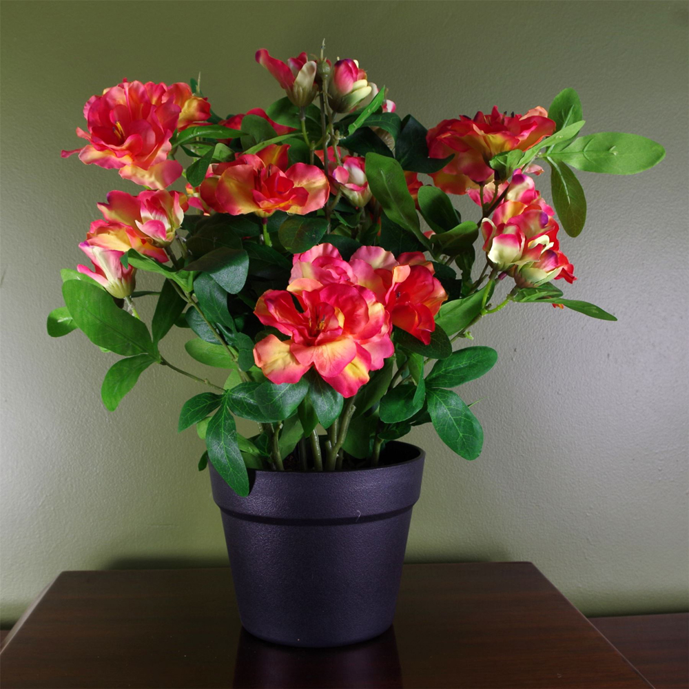 Leaf Orange Rhododendron Artificial Flowering Plant Image