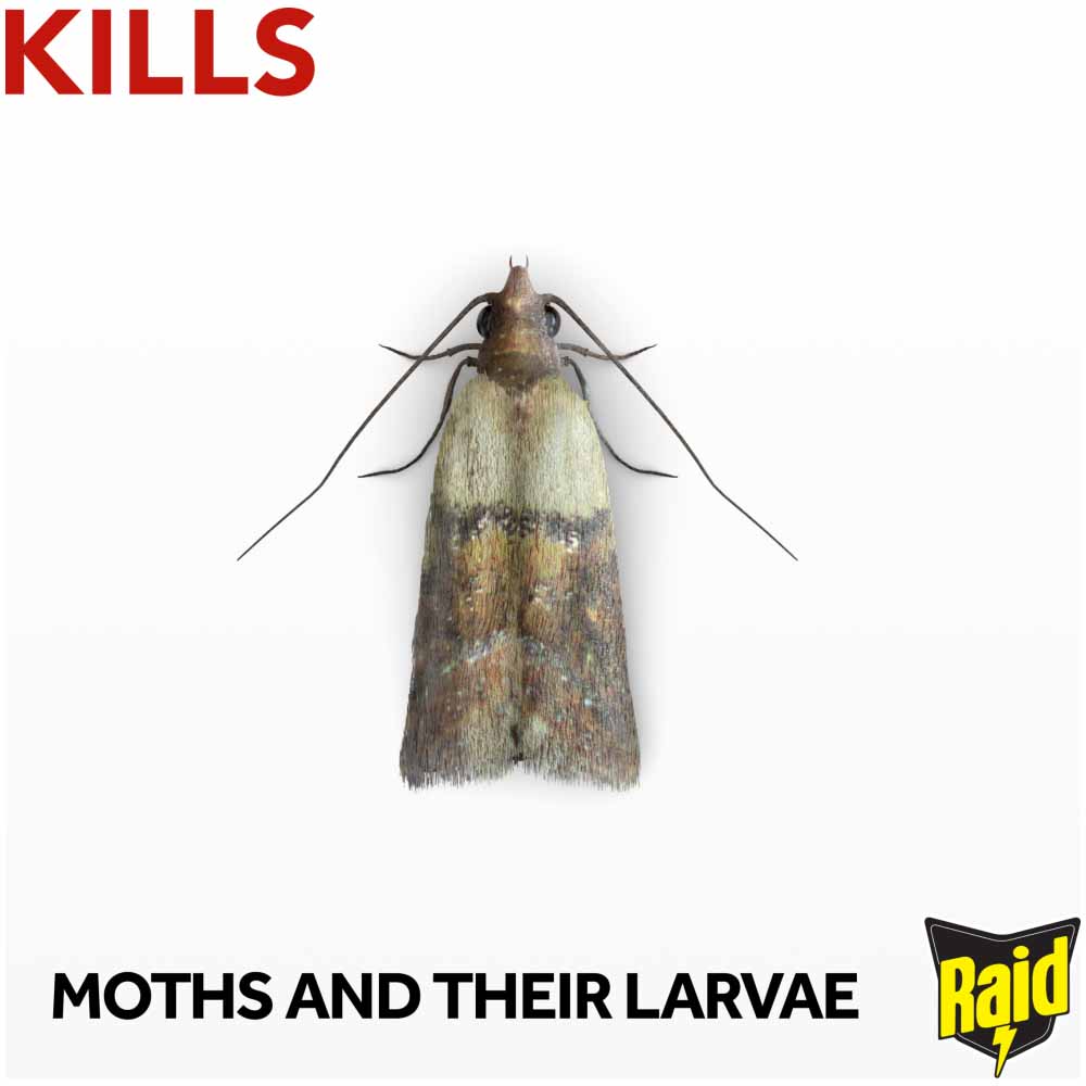 Raid 12 Pack Active Moth Paper Image 4
