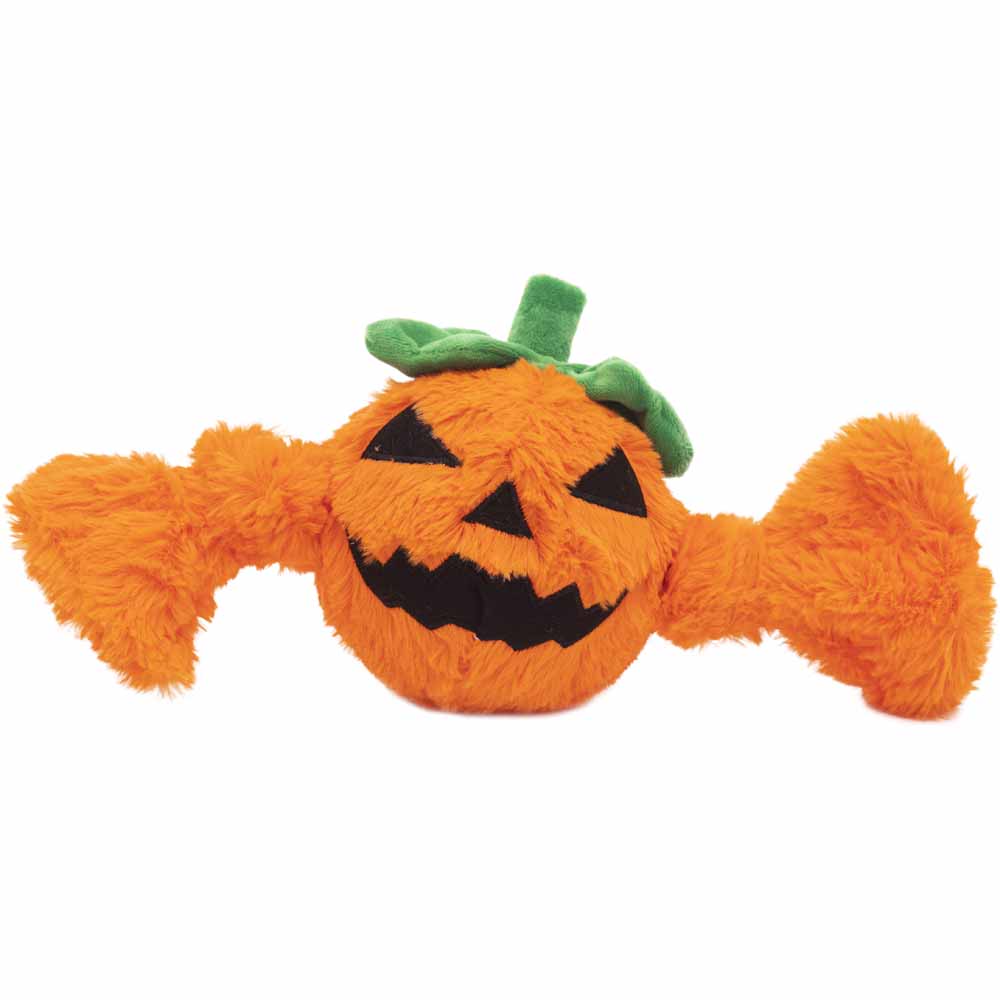 Rosewood Ghost Pumpkin Ball Dog Toy Image
