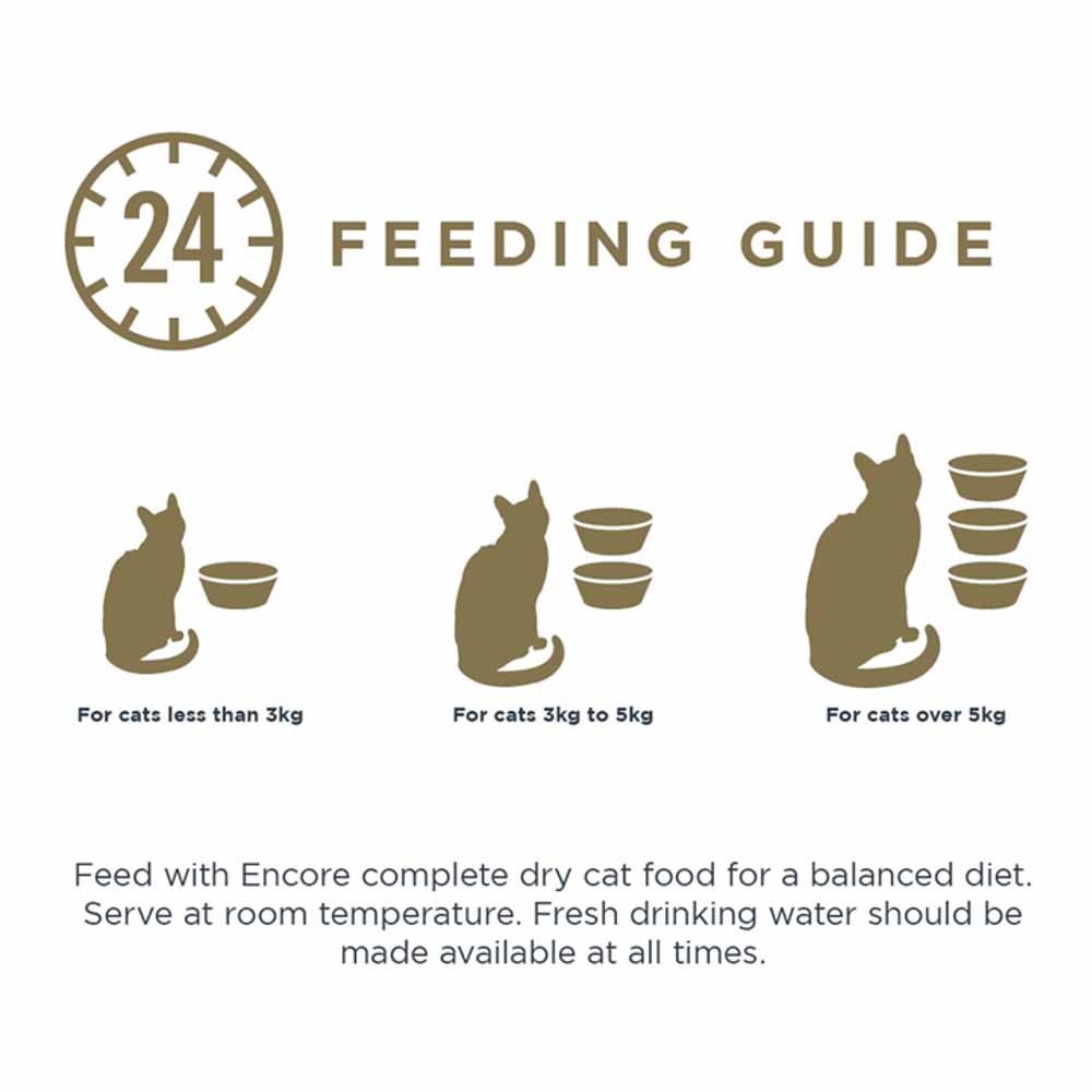 Encore Fish in Gravy Cat Food Pots 4 x 70g Image 4