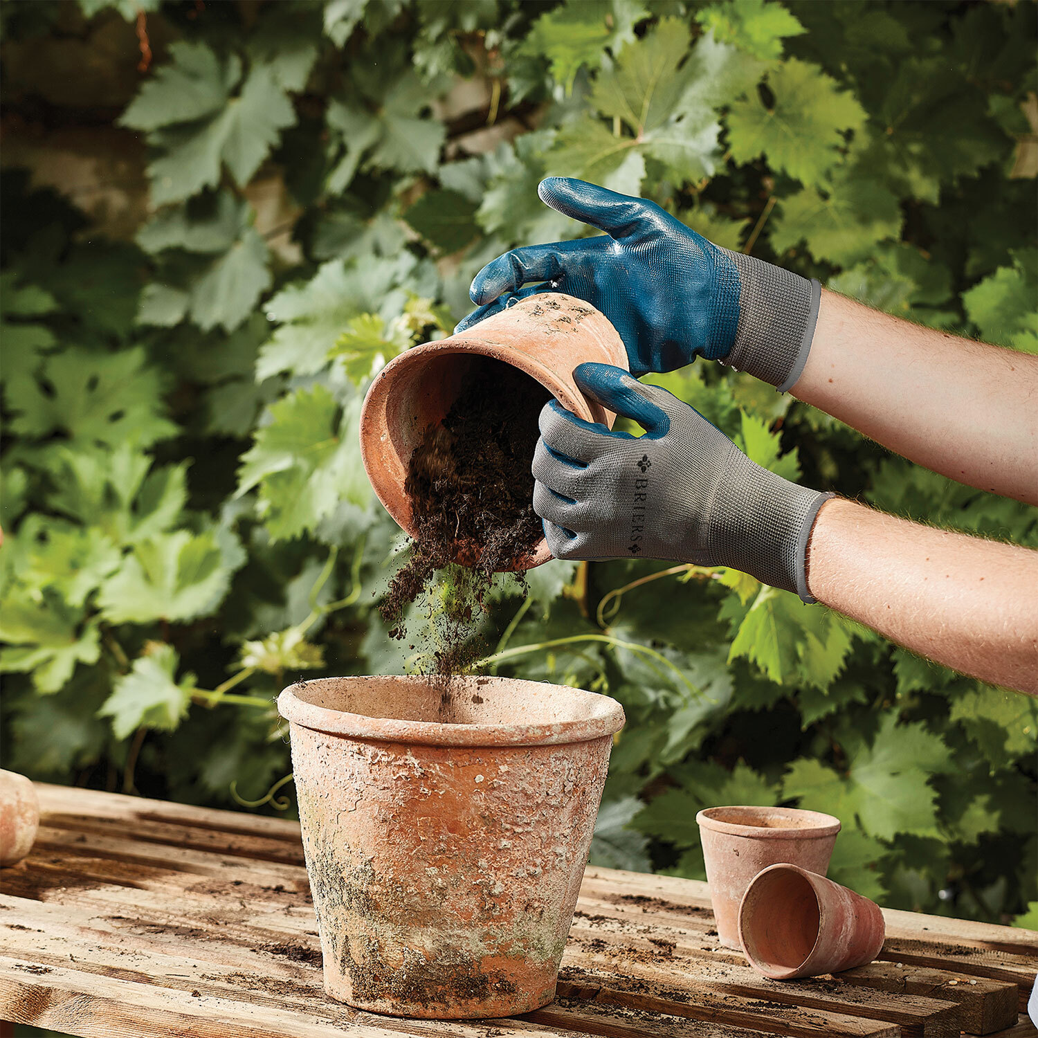 Seed & Weed Gardening Gloves - Blue Image 2