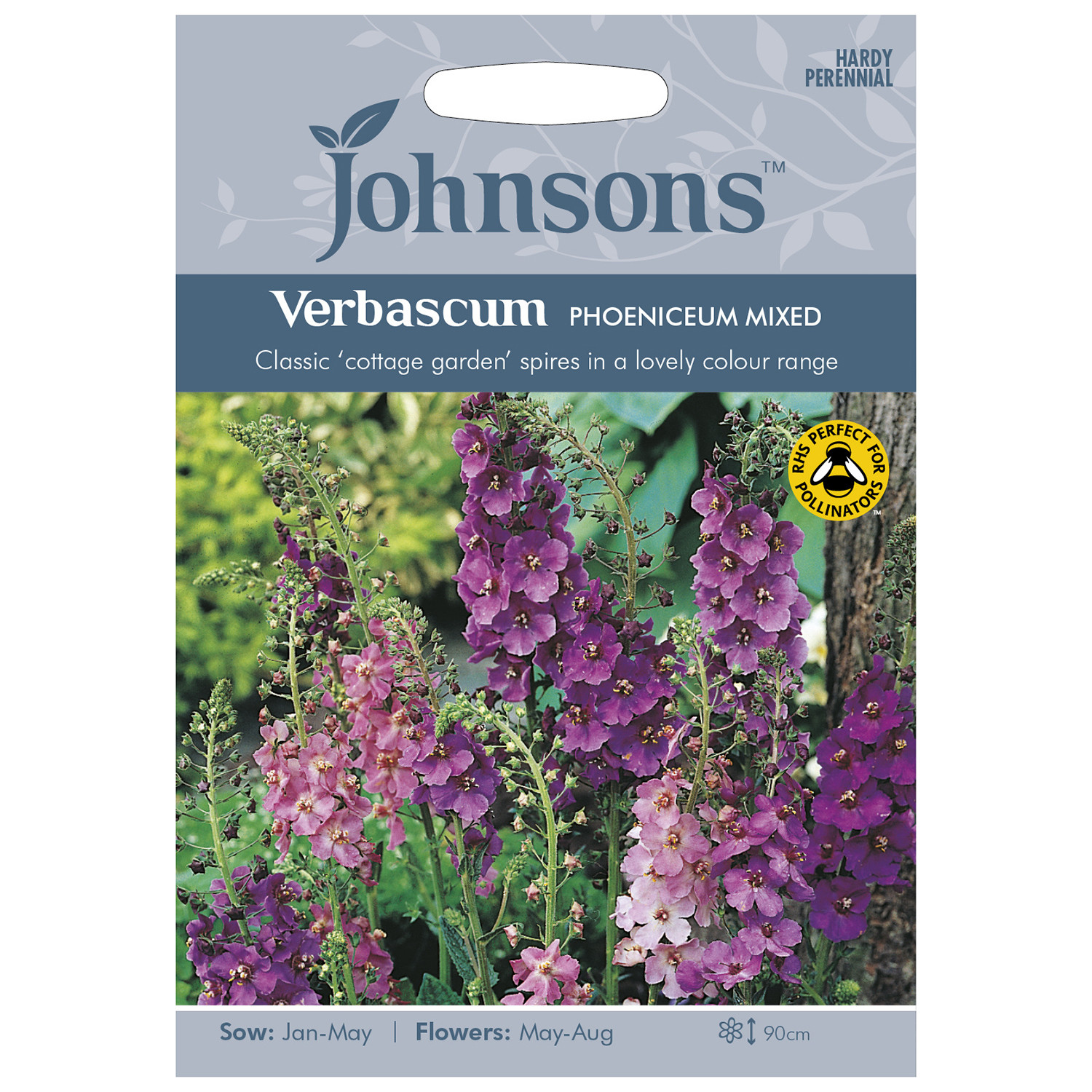 Johnsons Pack of Phoeniceum Mixed Verbascum Flower Seeds Image