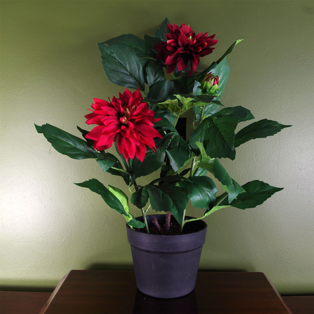 Leaf Red Dhalia Artificial Flowering Plant Image