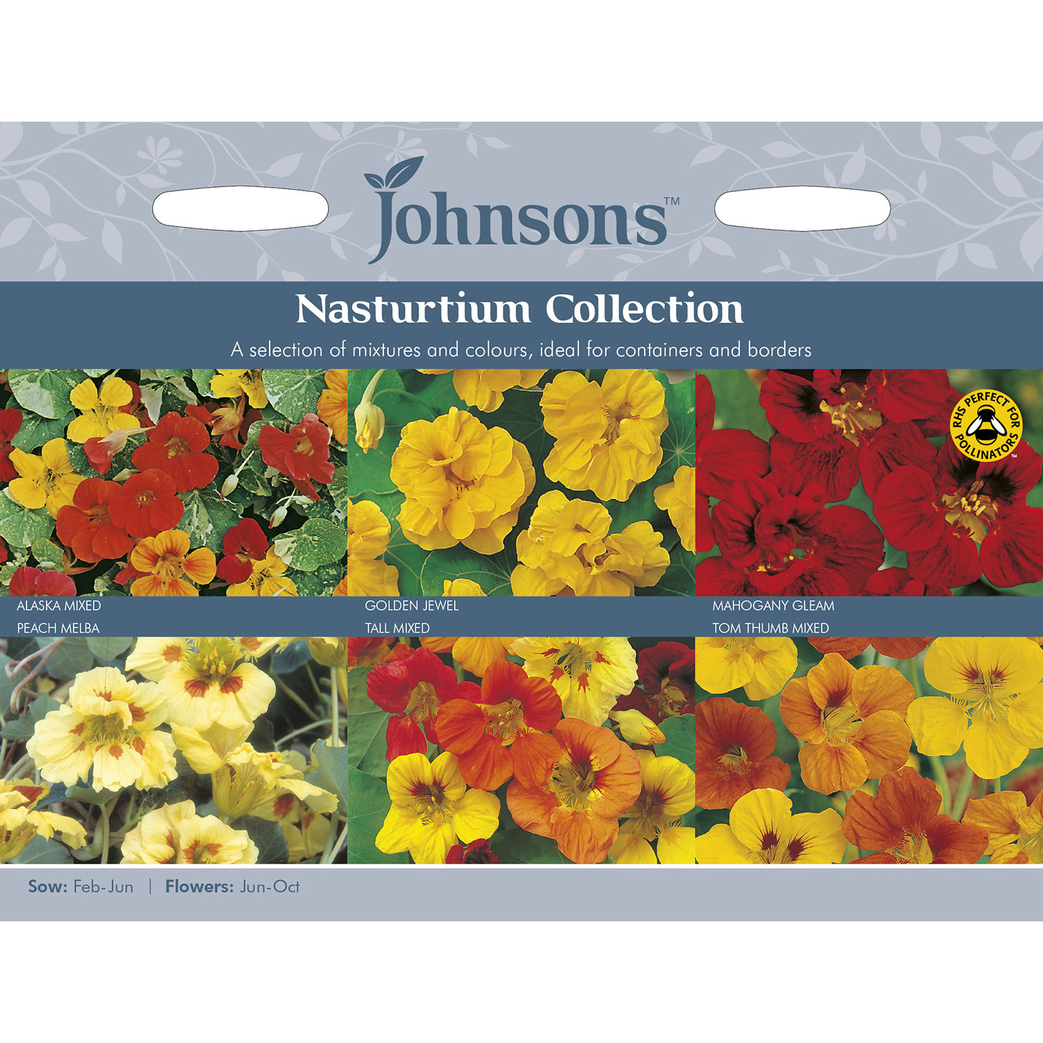 Johnsons Pack of Nasturtium Collection Flower Seeds Image 1