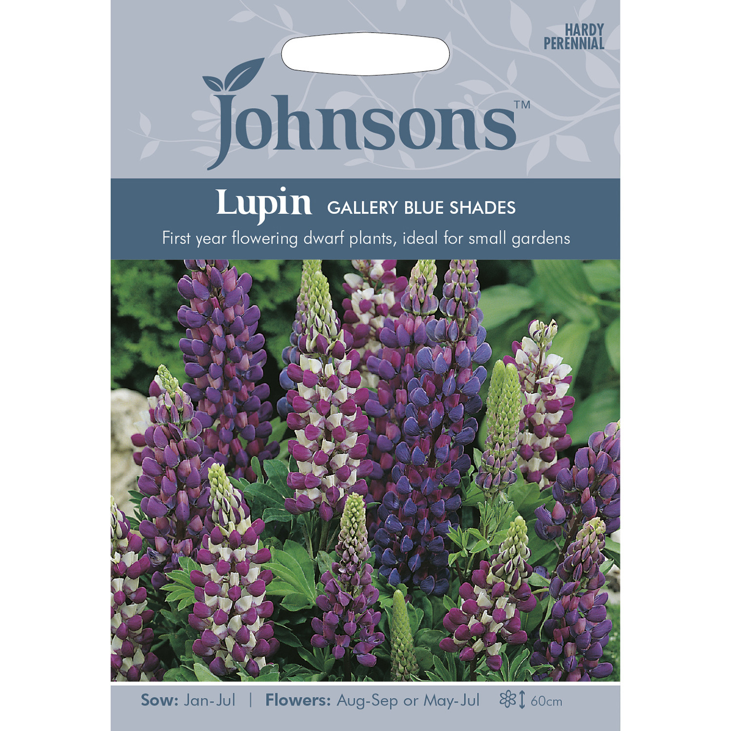 Johnsons Lupin Gallery Blue Shades Flower Seeds Image 2