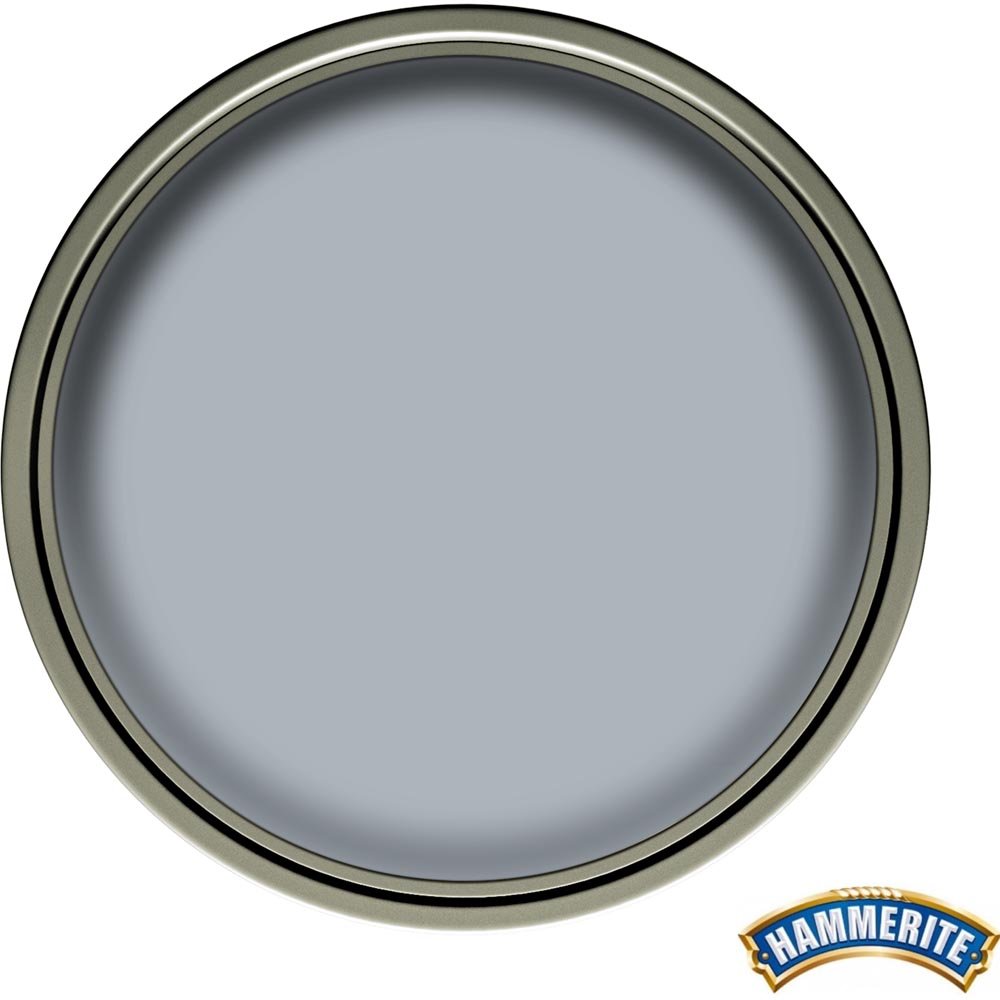 Hammerite Direct to Rust Silver Smooth Metal Paint 250ml Image 3