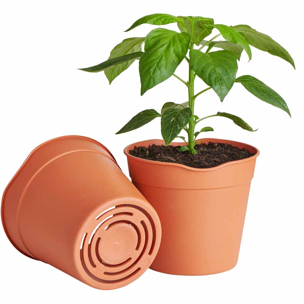 Clever Pots Small Easy Release Propagation Pots 9.8 x 8.7cm 5 Pack Image 4