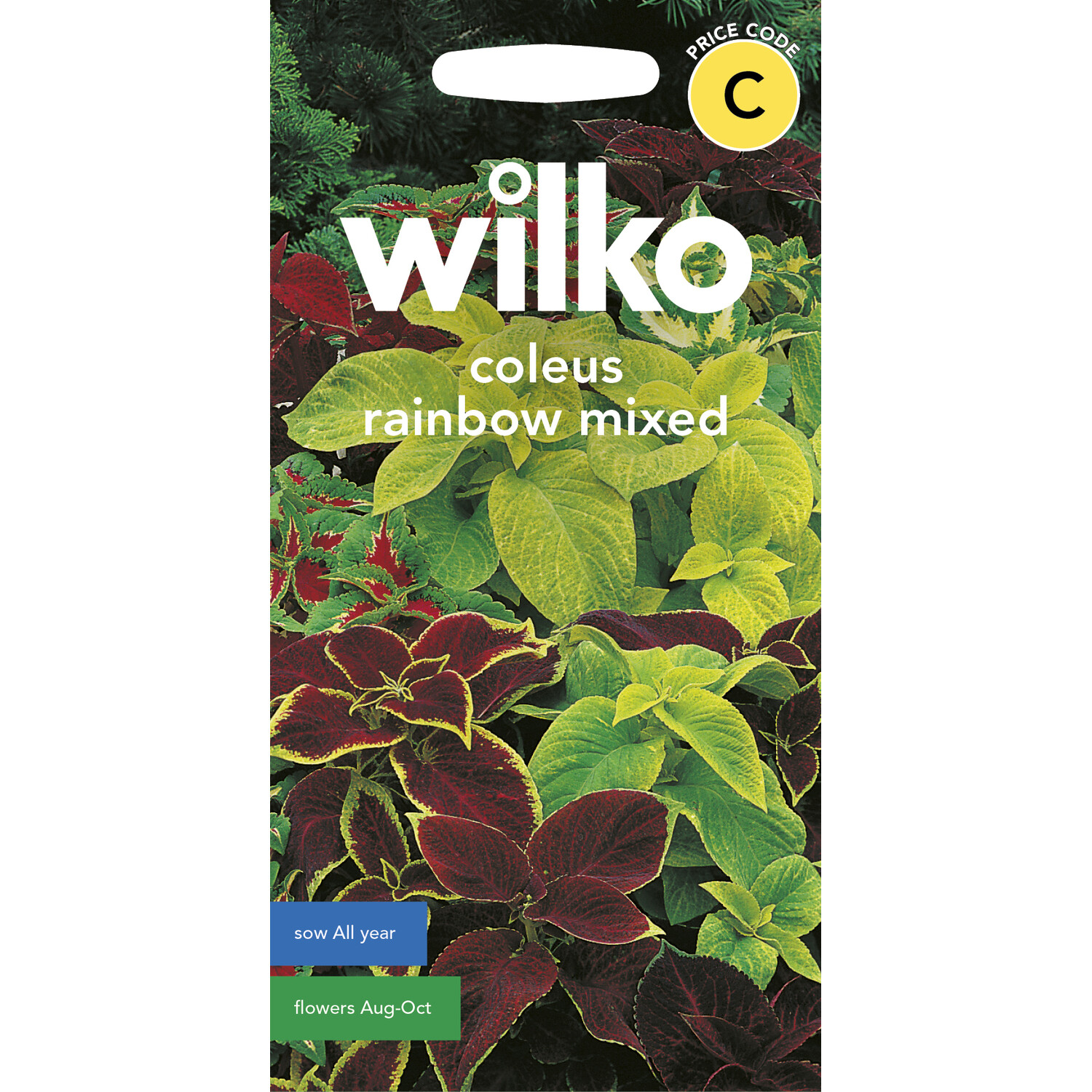 Wilko Coleus Rainbow Mixed Seeds Image 1