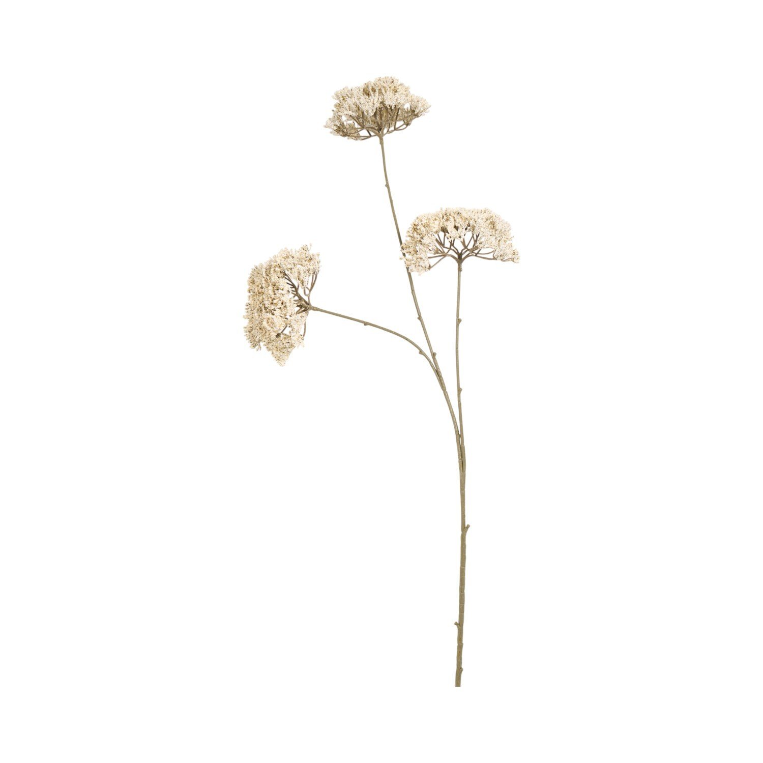 Queen Annes Lace Stem 86cm White Image 2